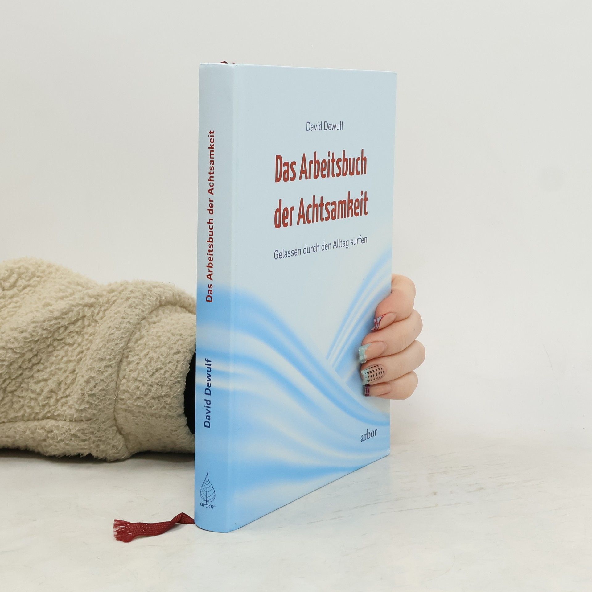 David Dewulf Das Arbeitsbuch der Achtsamkeit