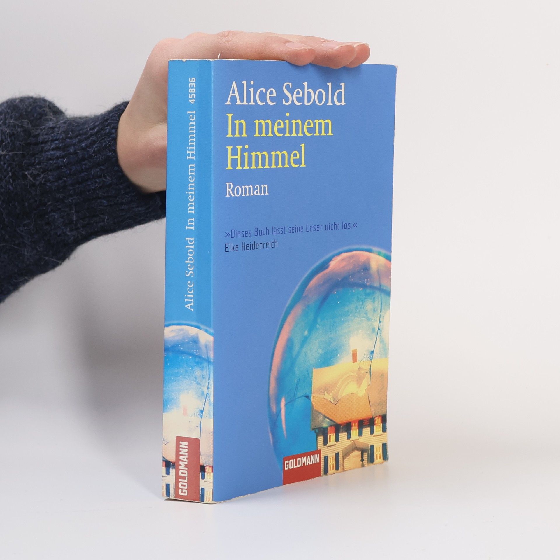 Alice Sebold In meinem Himmel