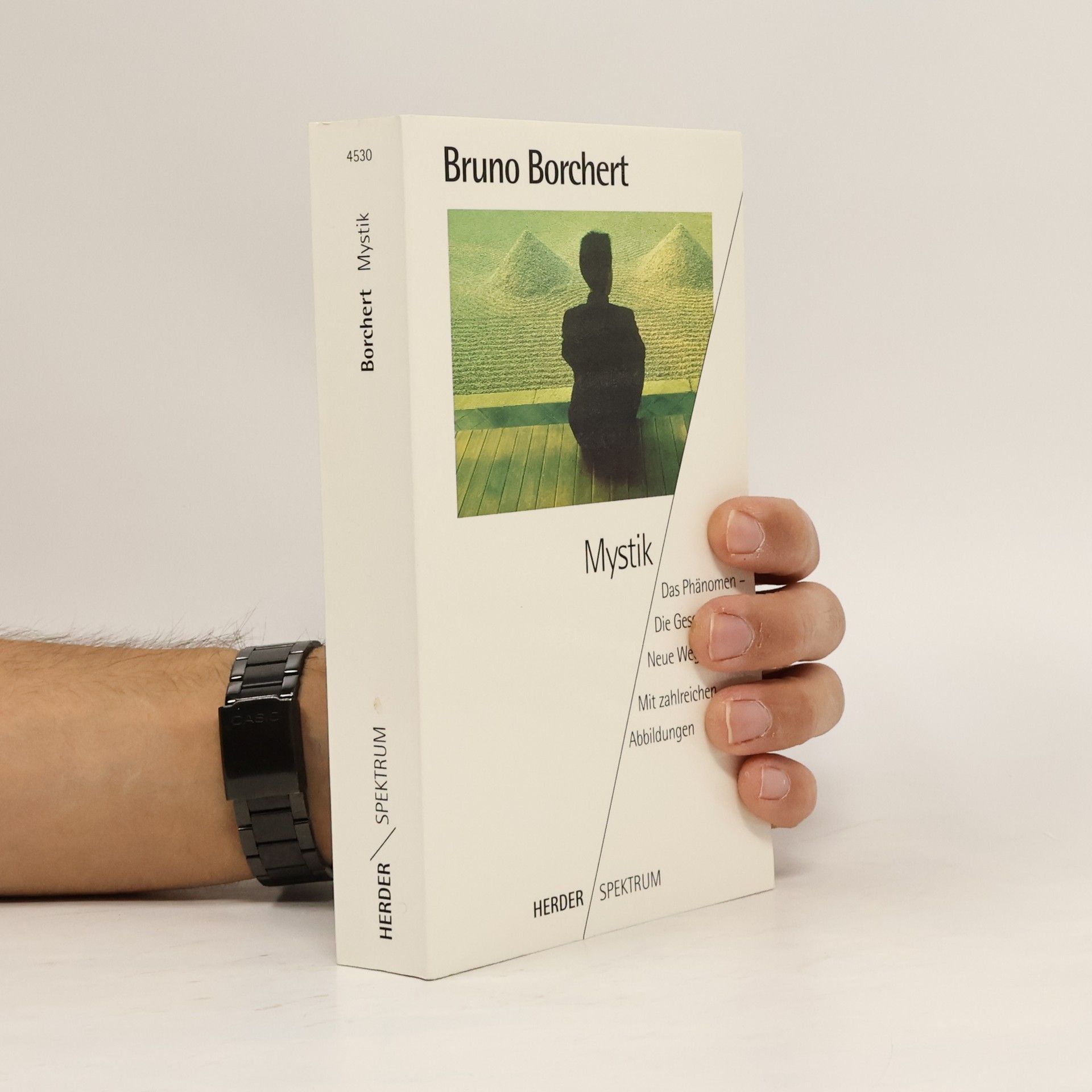 Bruno Borchert Mystik. Das Phänomen - Die Geschichte - Neue Wege.