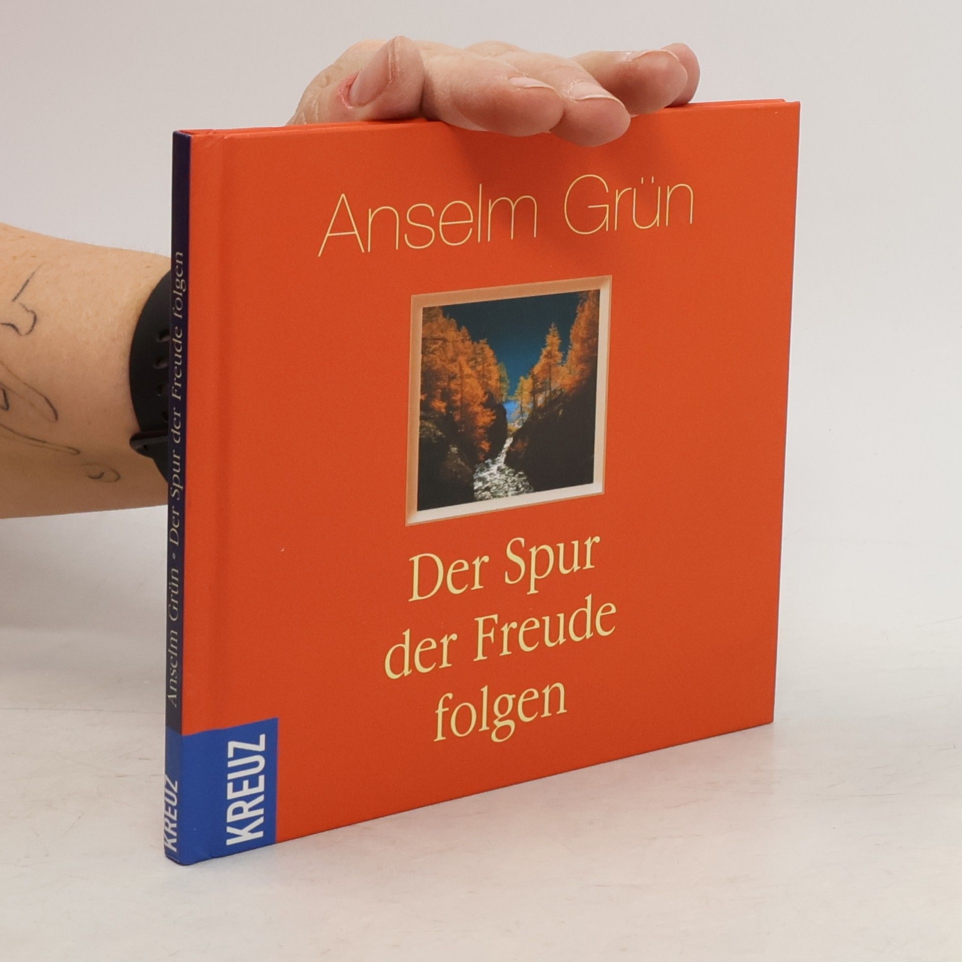 Anselm Grün Der Spur der Freude folgen