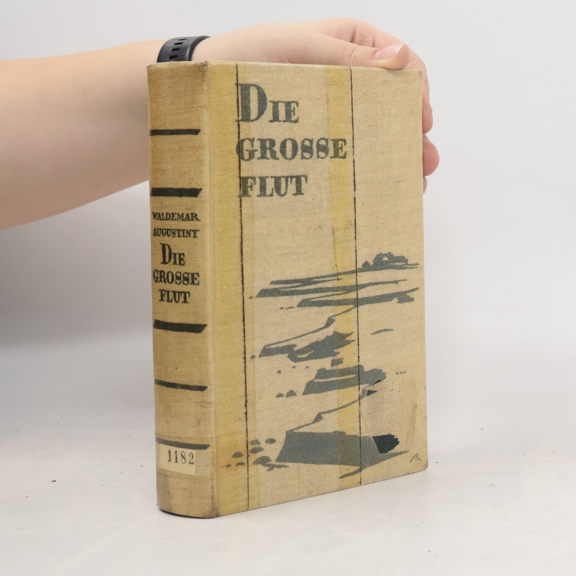 Waldemar Augustiny Die grosse Flut