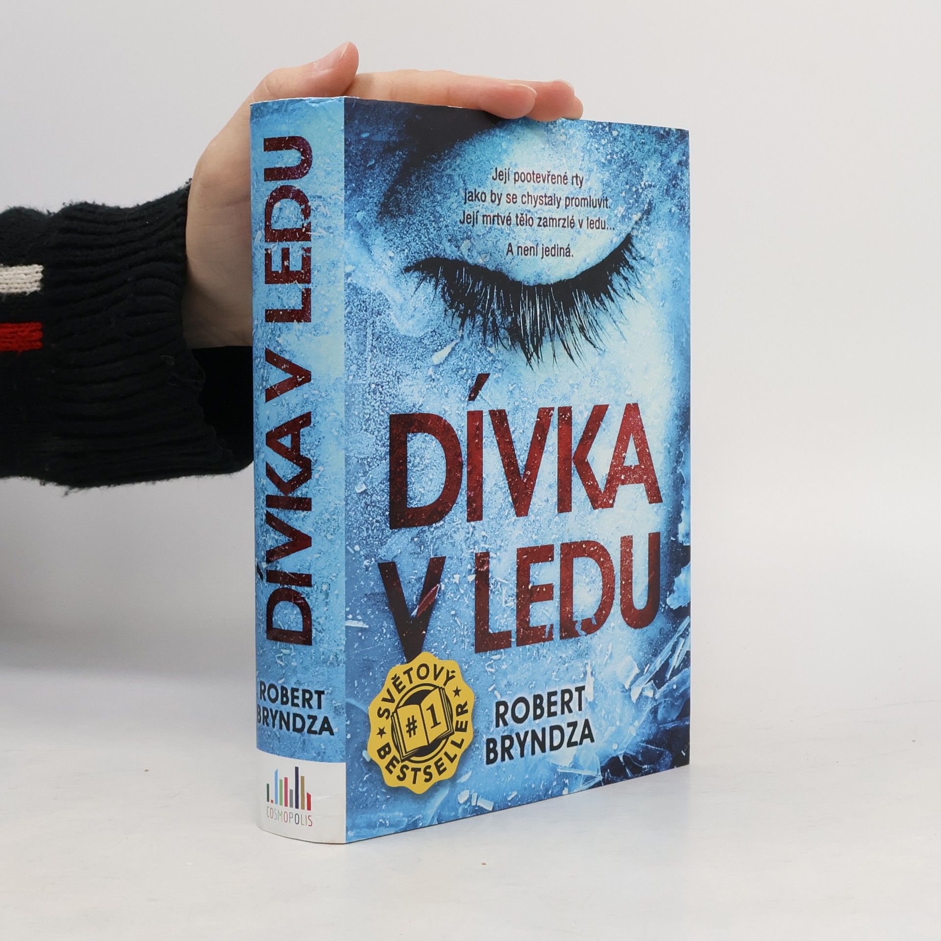 Robert Bryndza Dívka v ledu