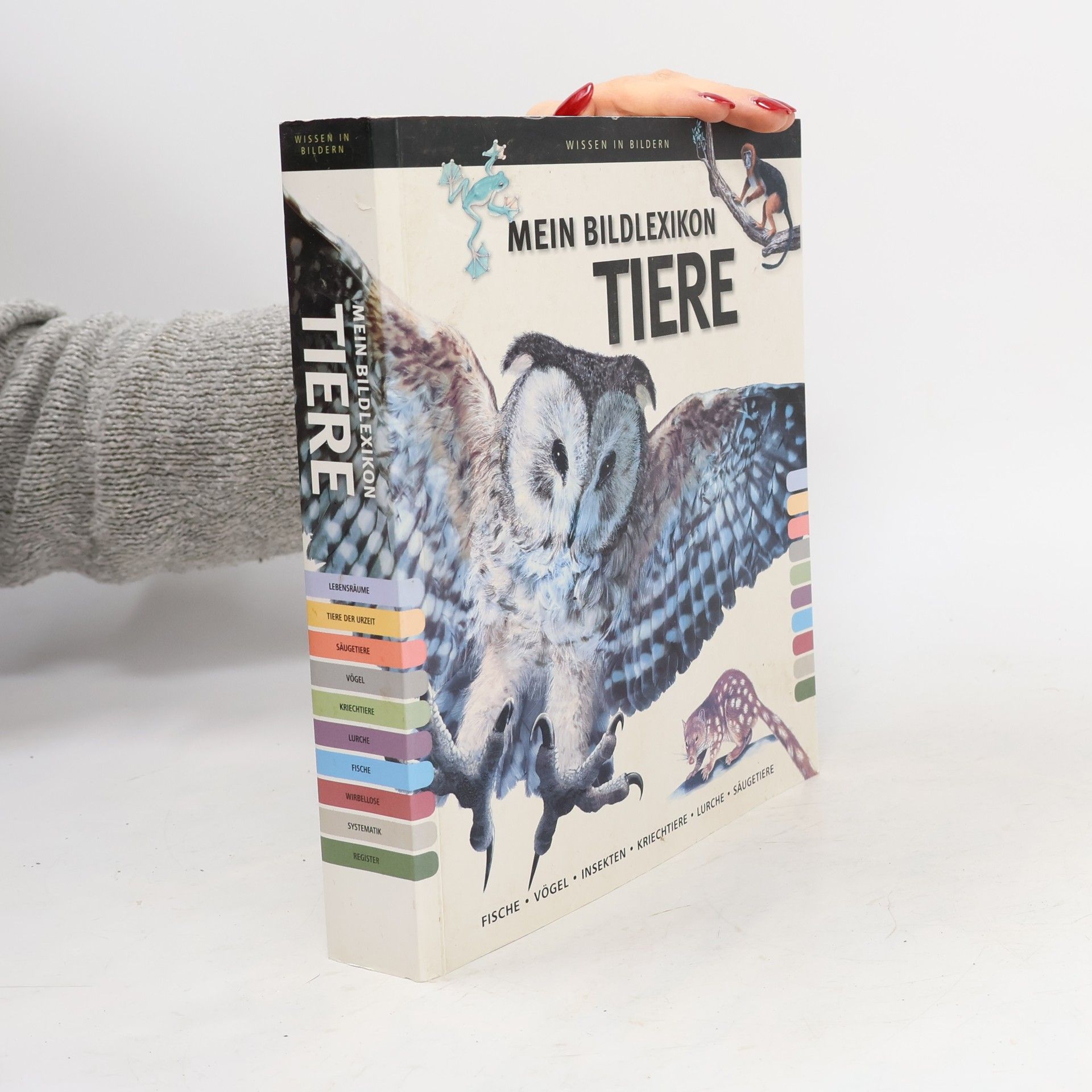 Collectif d'auteurs Mein Bildlexikon Tiere