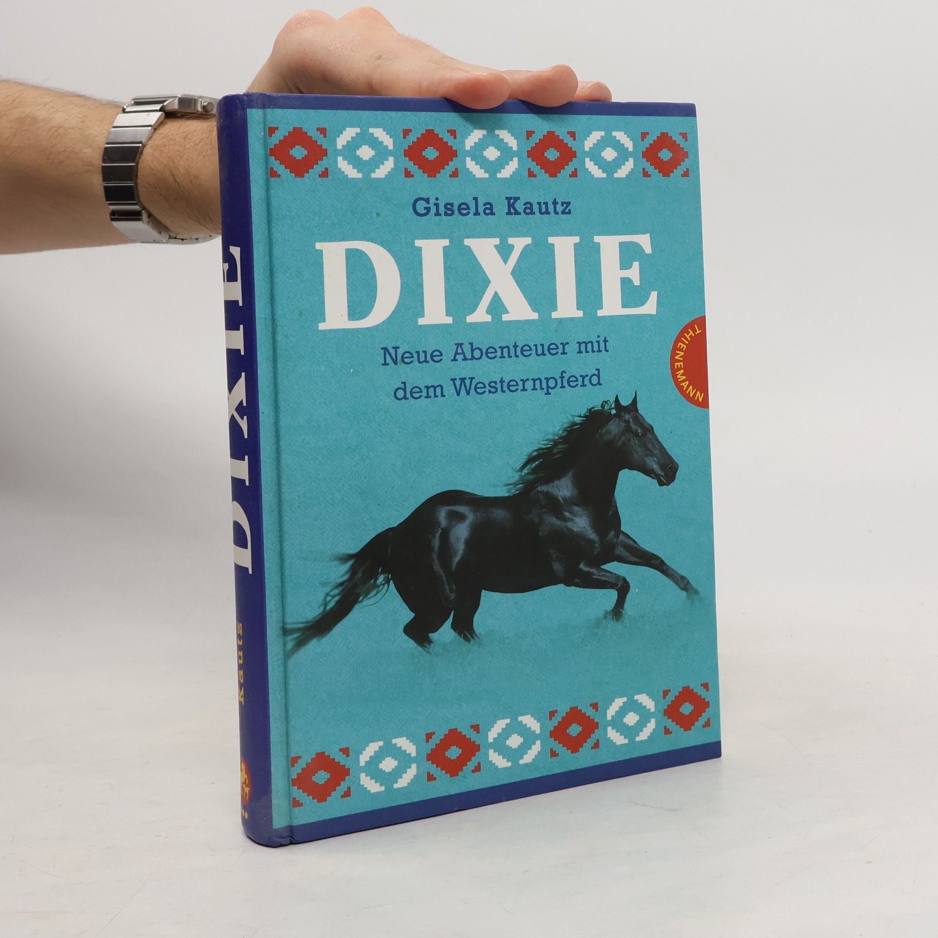 Dixie. Neue Abenteuer mit dem Westernpferd