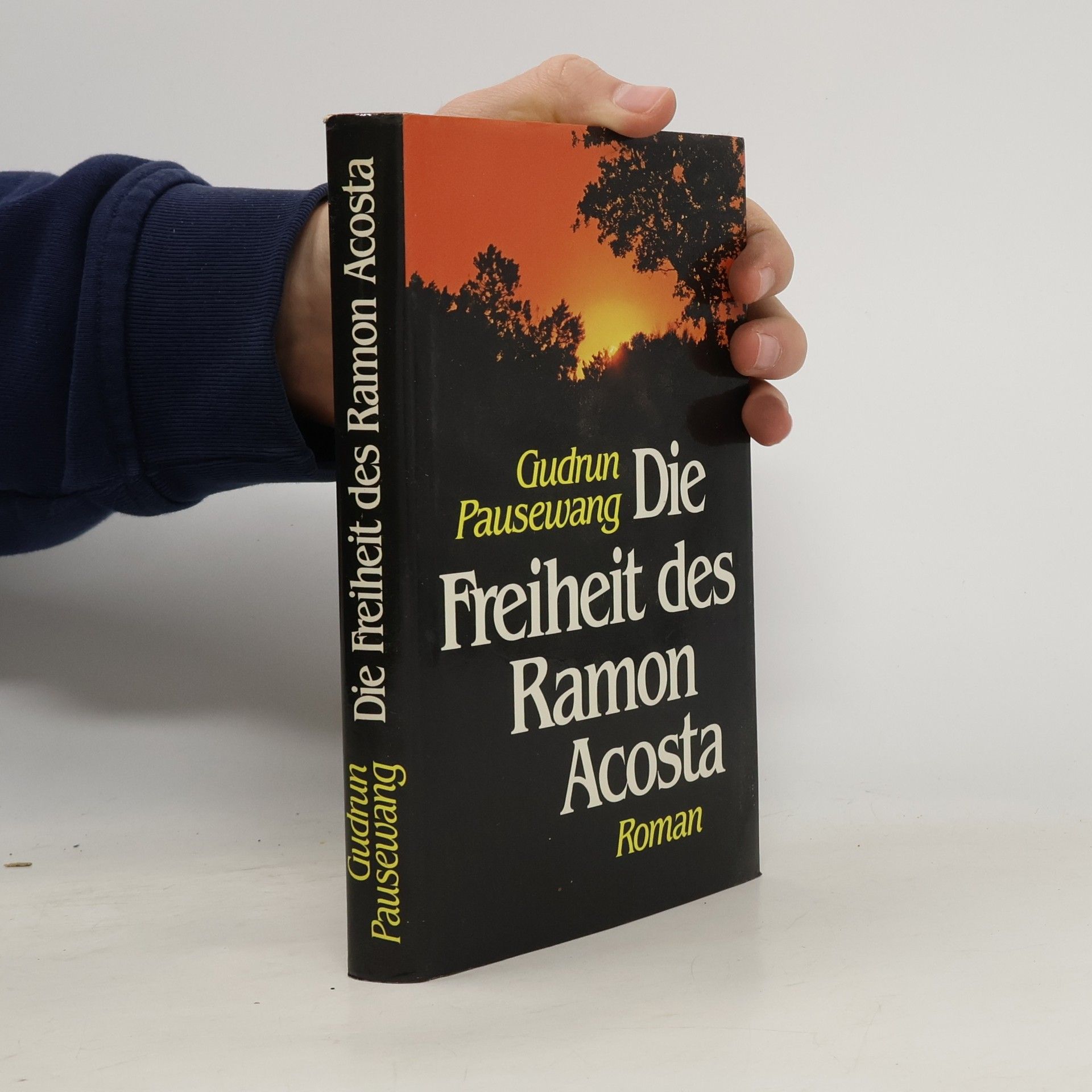 Die Freiheit des Ramon Acosta