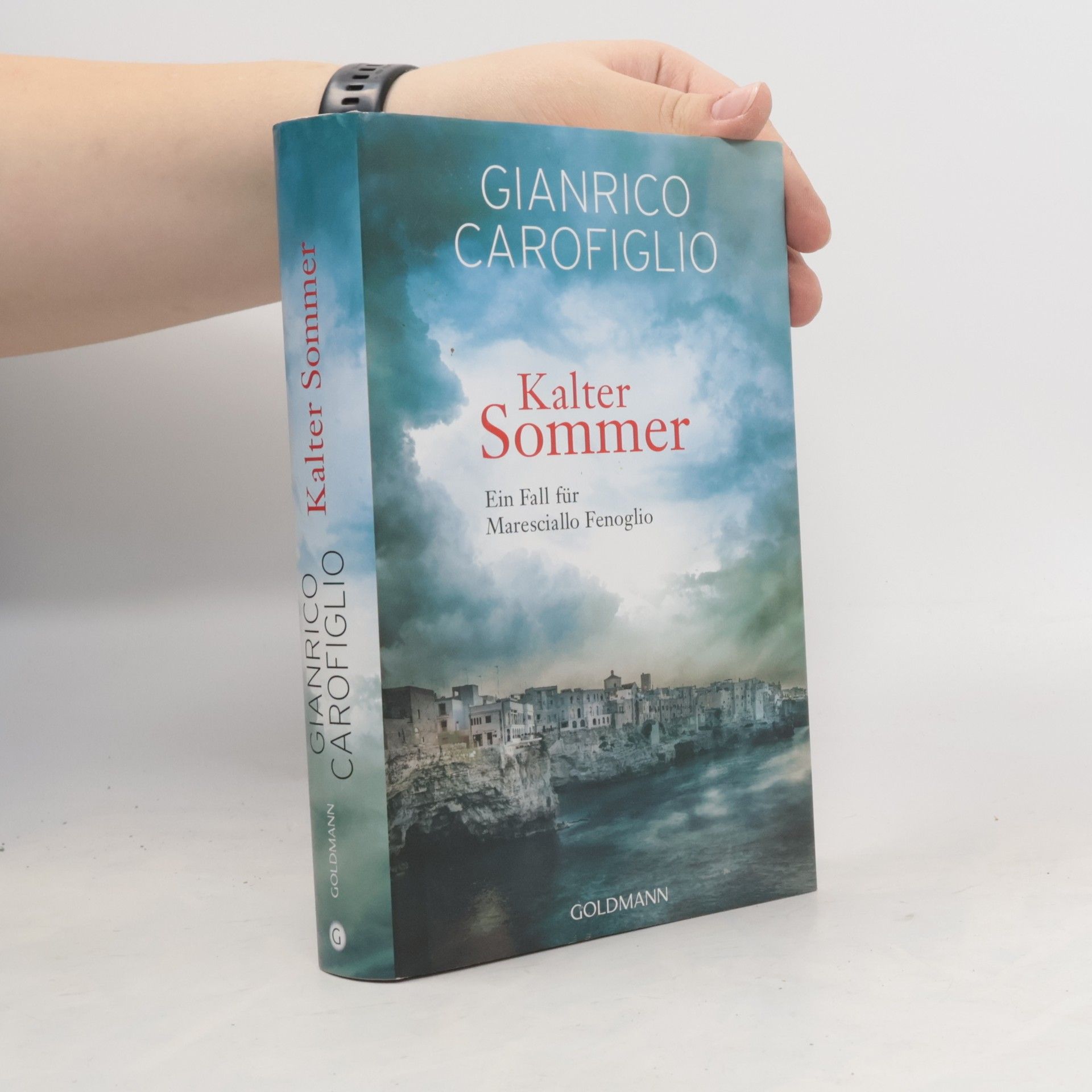 Gianrico Carofiglio Kalter Sommer