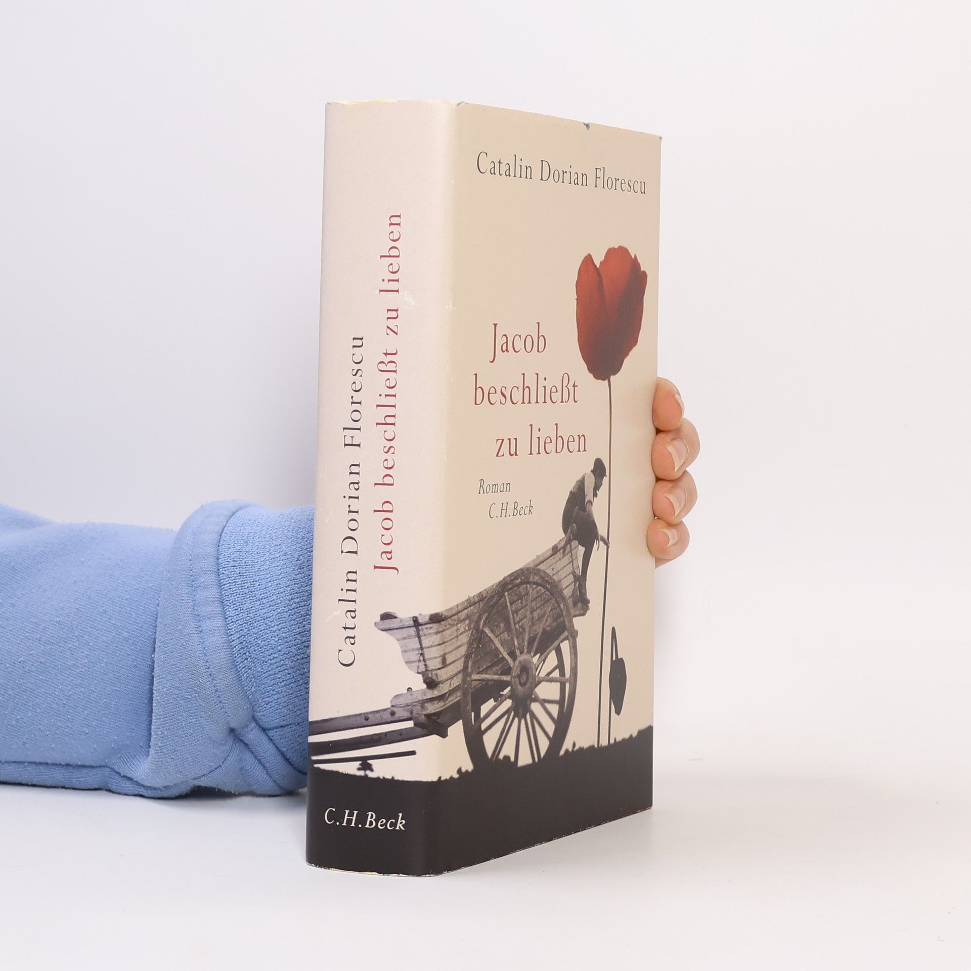 Jacob beschließt zu lieben