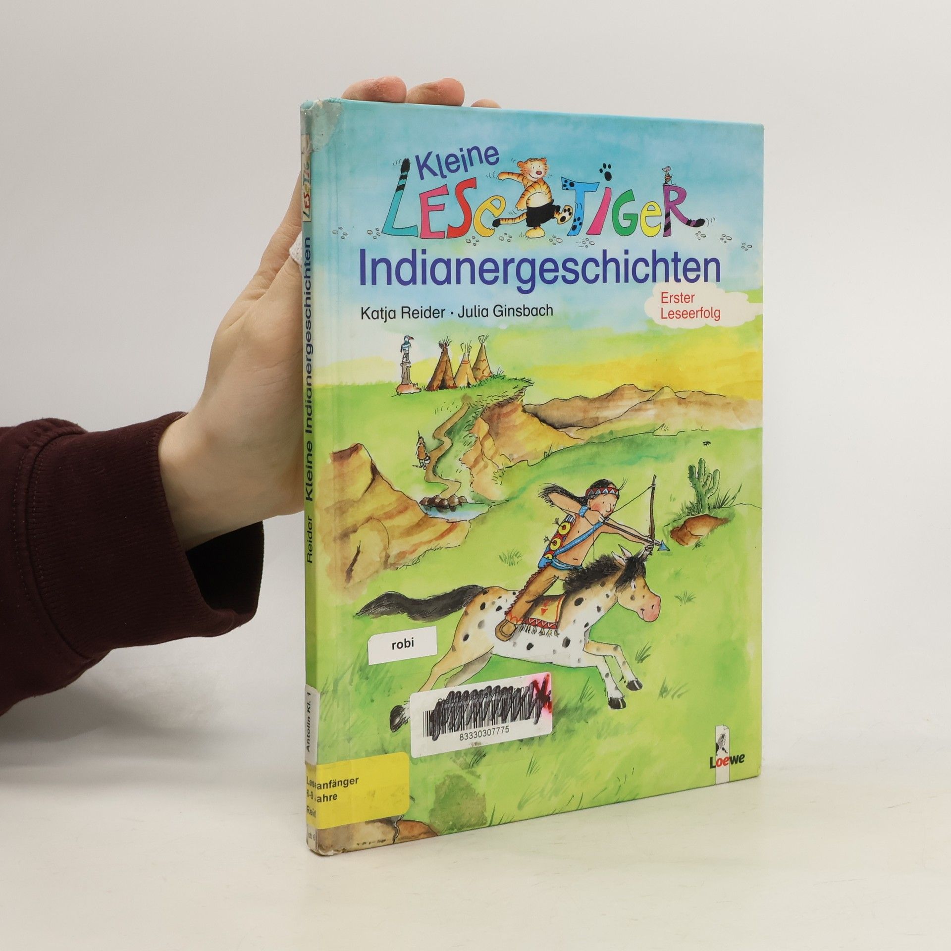 Katja Reider Kleine Lesetiger-Indianergeschichten