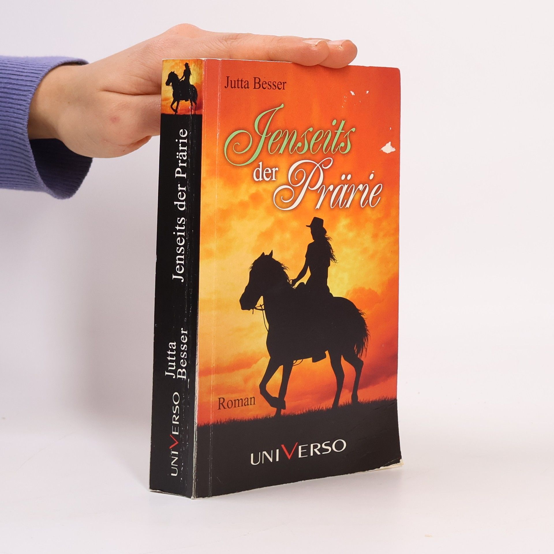 Jutta Besser Jenseits der Prärie