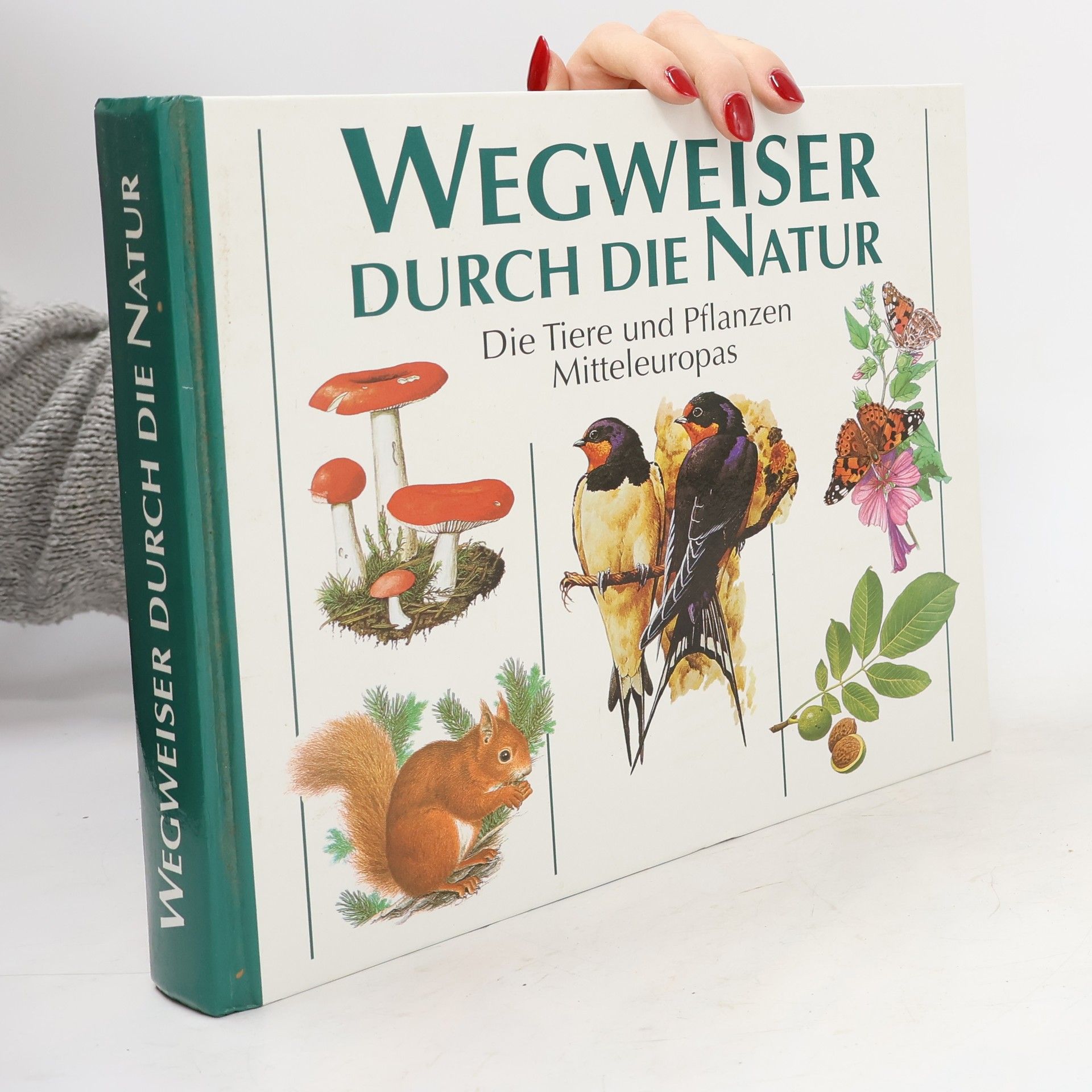 Autorenkollektiv Wegweiser durch die Natur. Die Tiere und Pflanzen Mitteleuropas