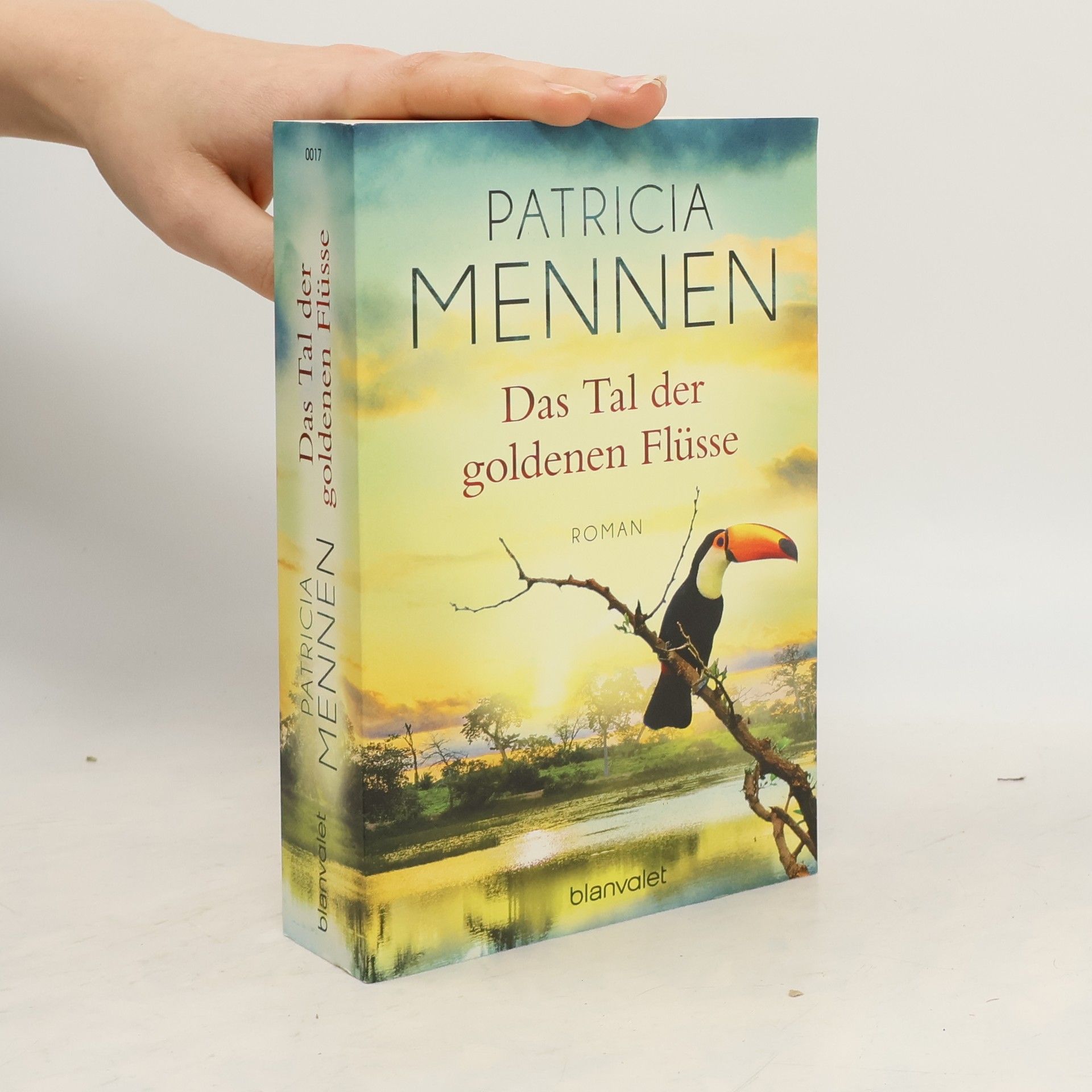 Patricia Mennen Das Tal der goldenen Flüsse