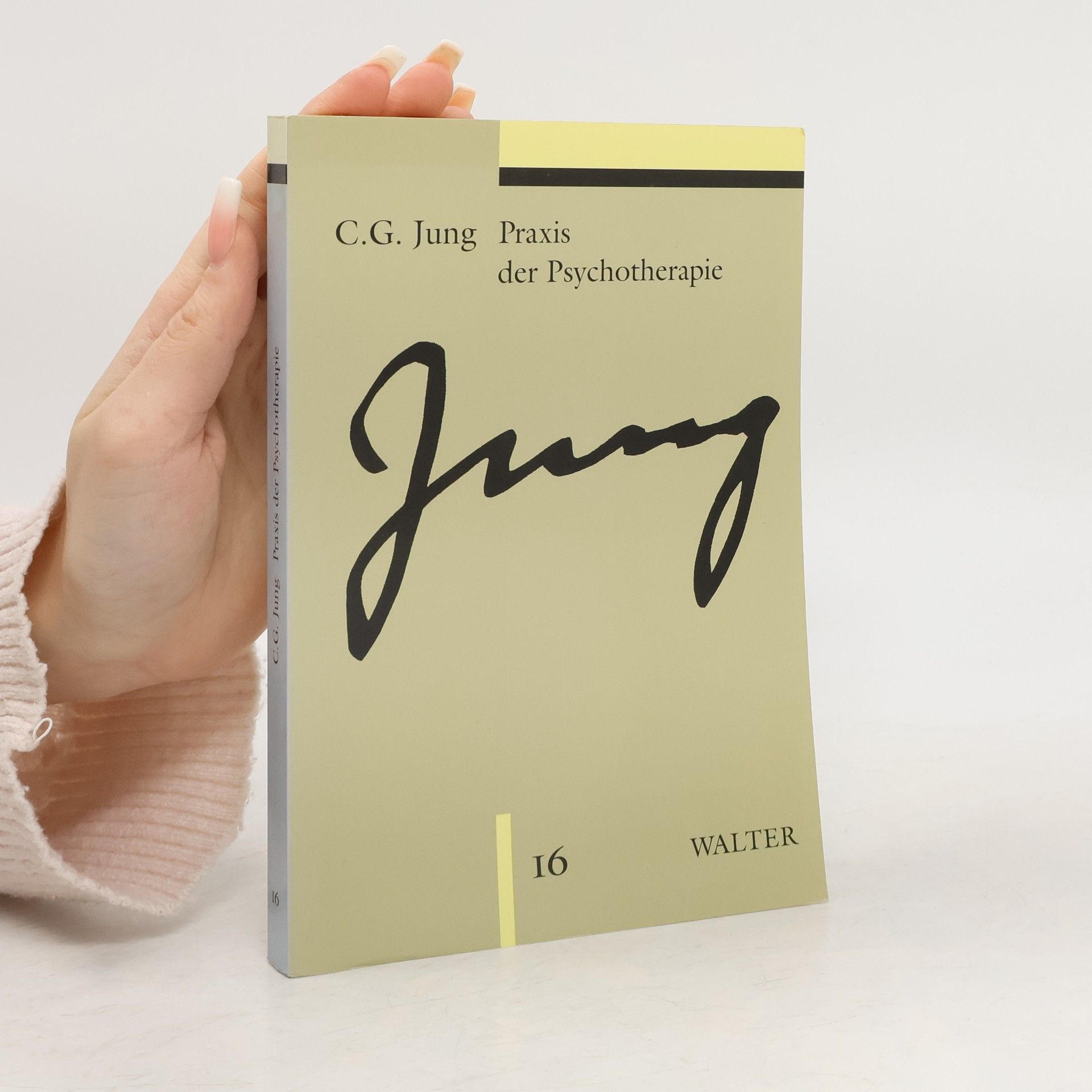 Carl Gustav Jung Praxis der Psychotherapie