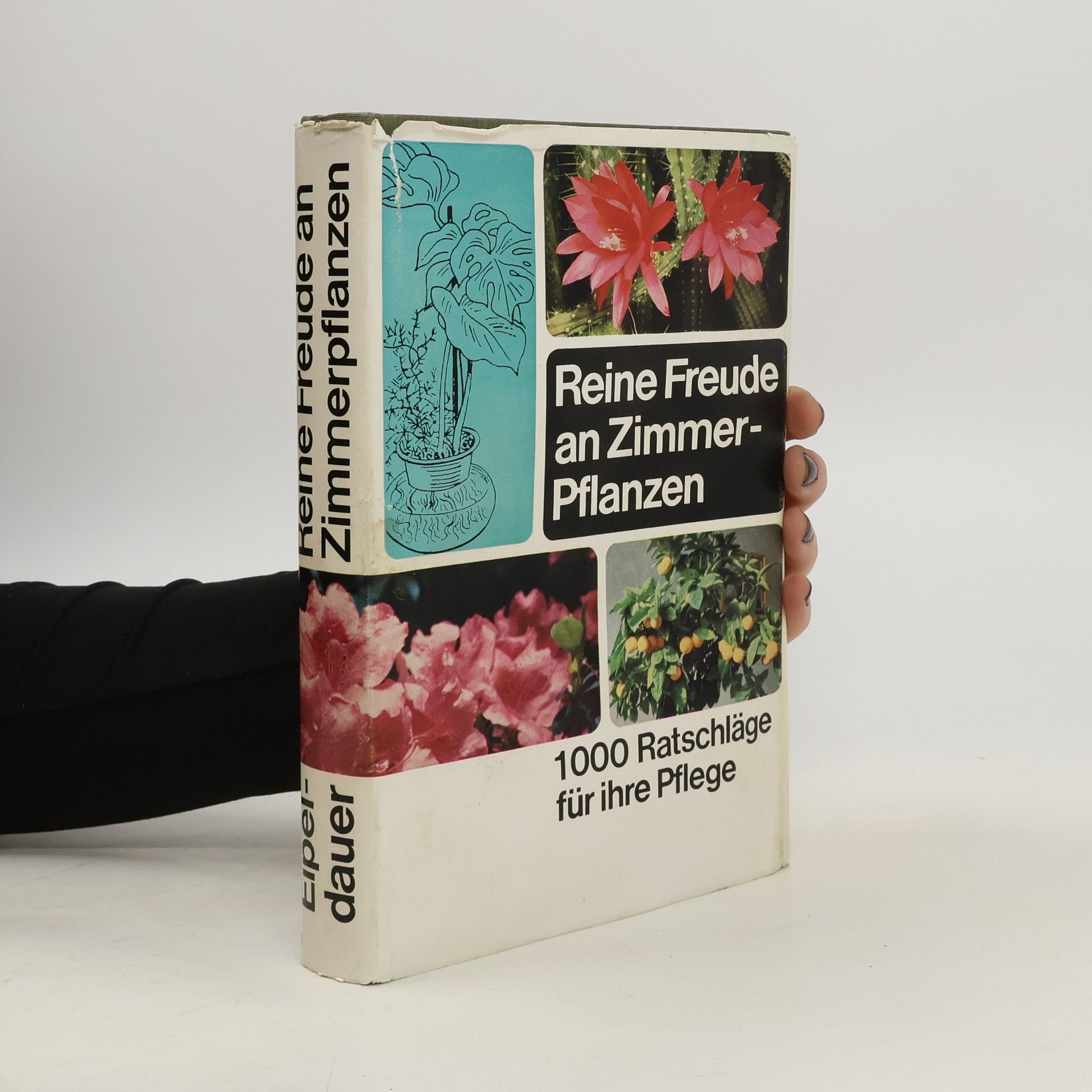 Antonia Enzenhofer Reine Freude an Zimmer- Pflanzen