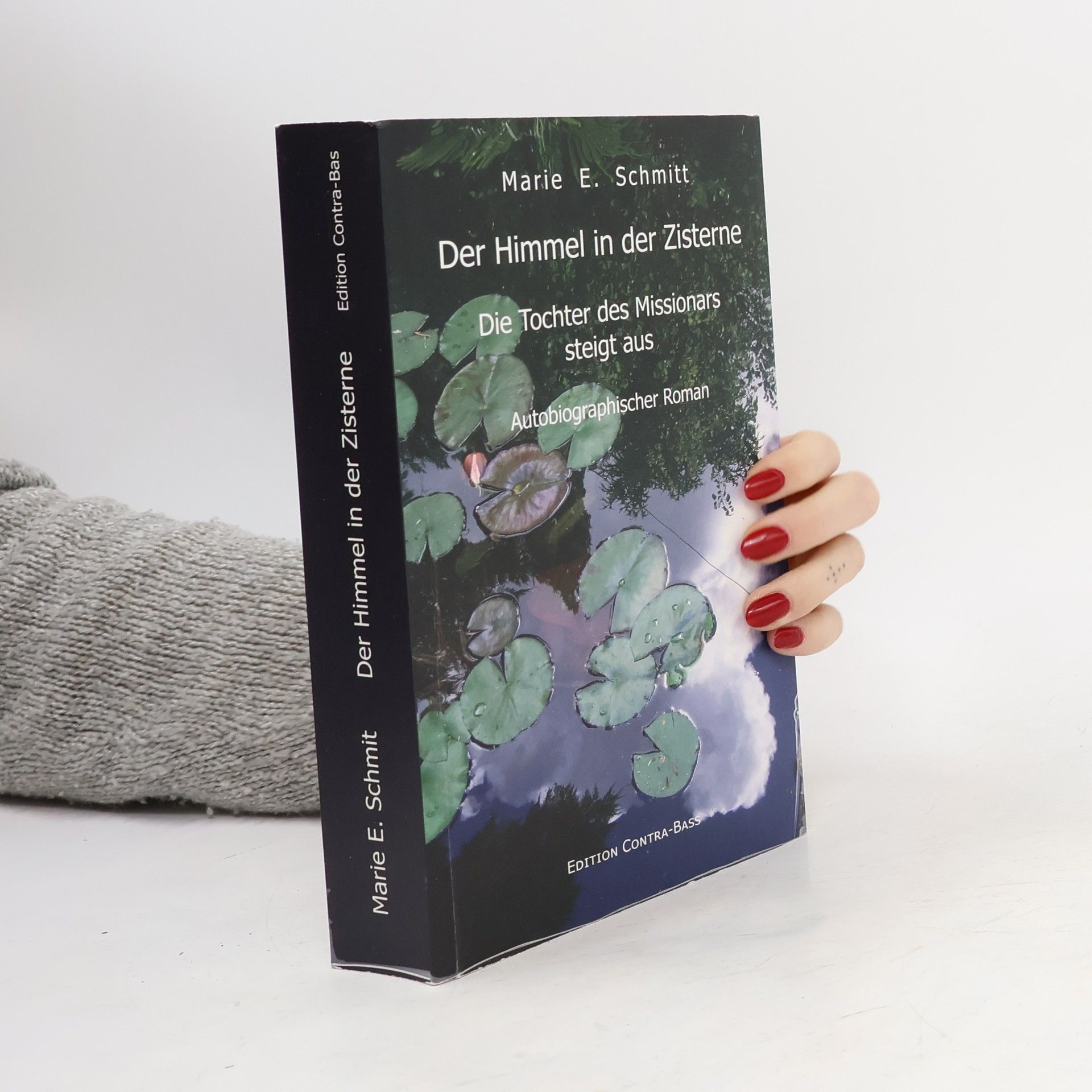 Marie E. Schmitt Der Himmel in der Zisterne