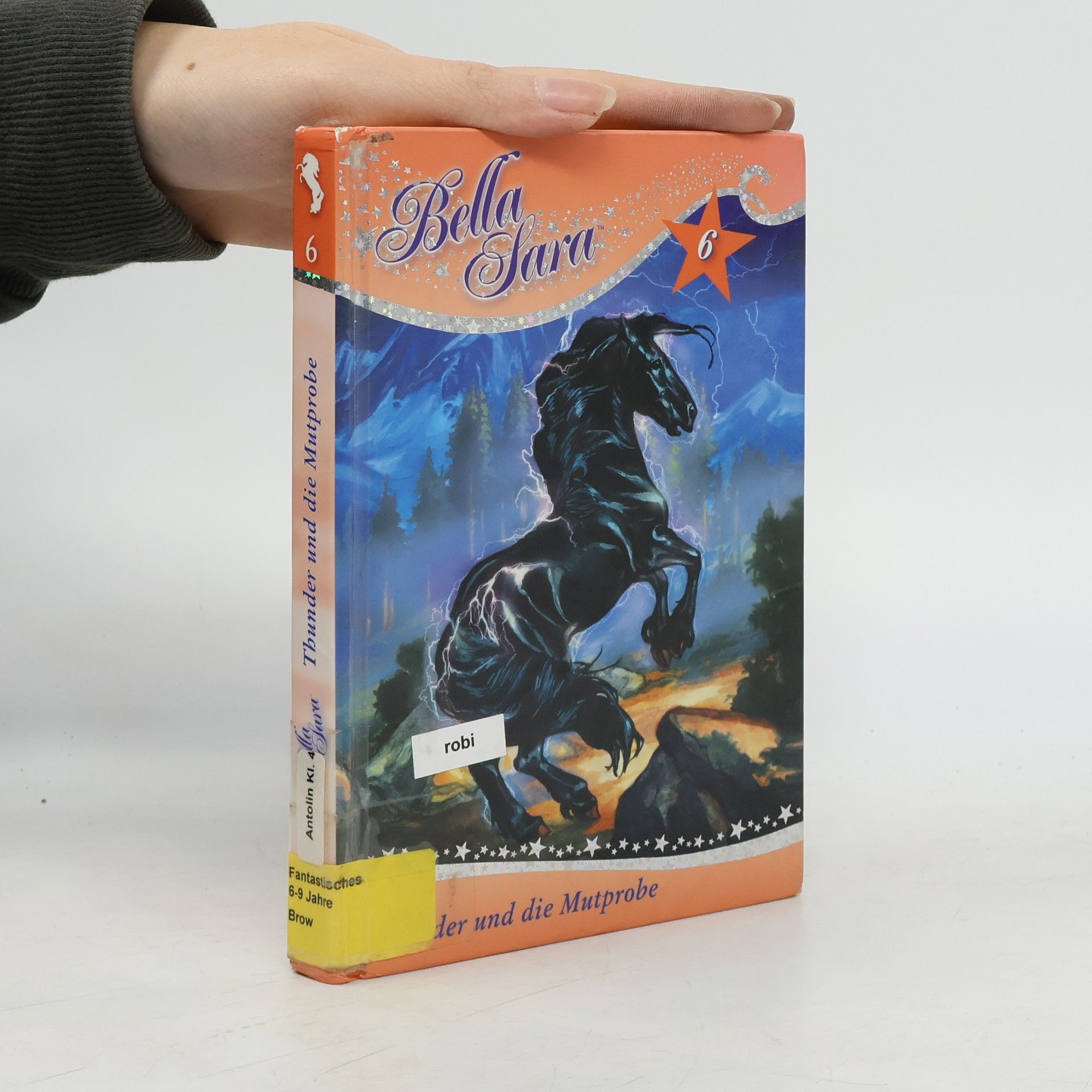 Bella Sara - Thunder und die Mutprobe. Band 6