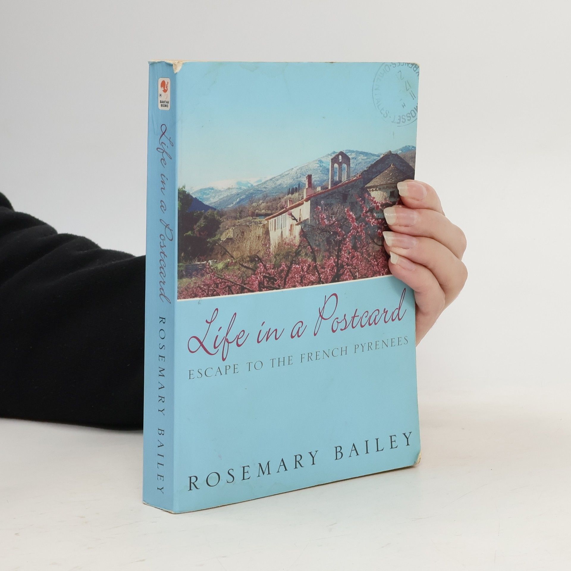 Rosemary Bailey Life In A Postcard