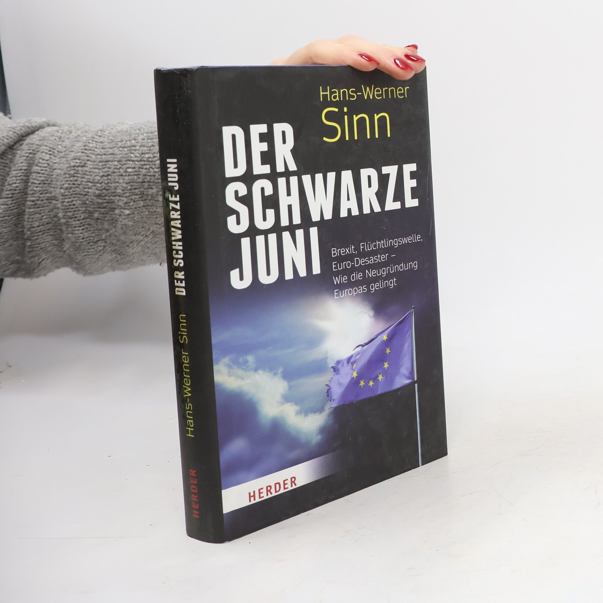 Werner Sinn Der schwarze Juni
