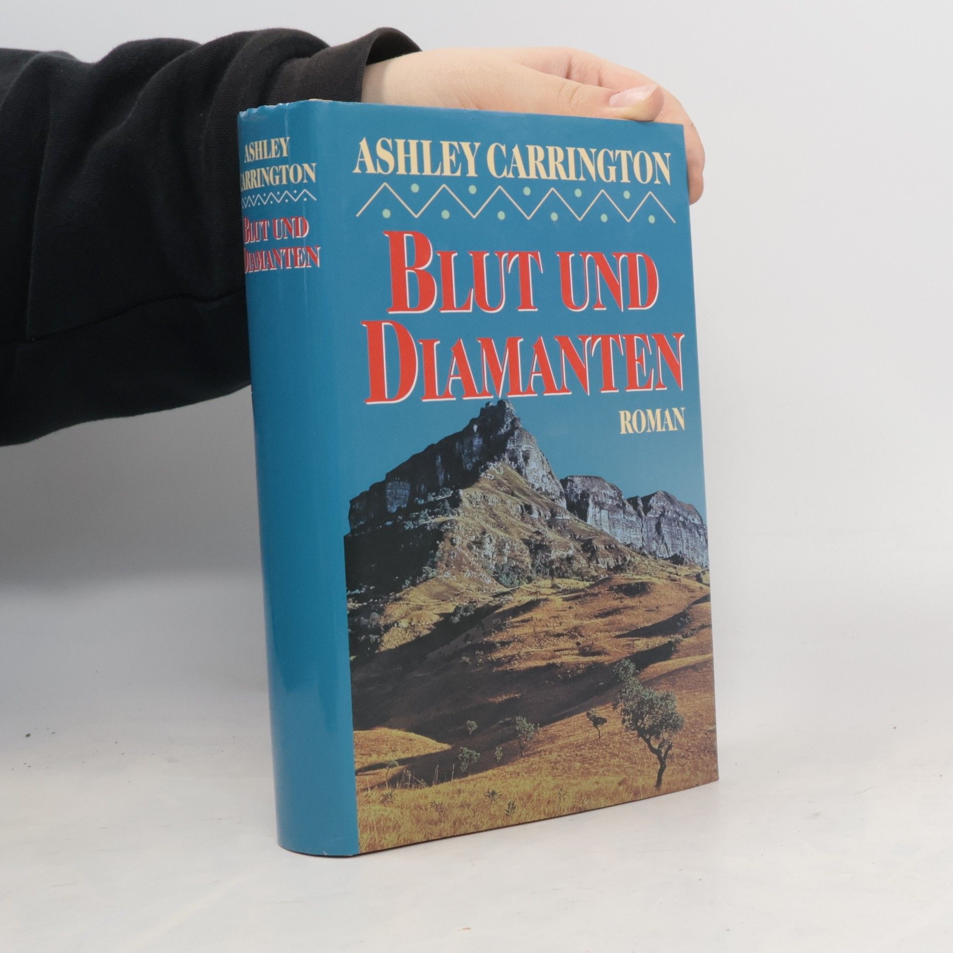 Rainer M. Schröder Blut und Diamanten