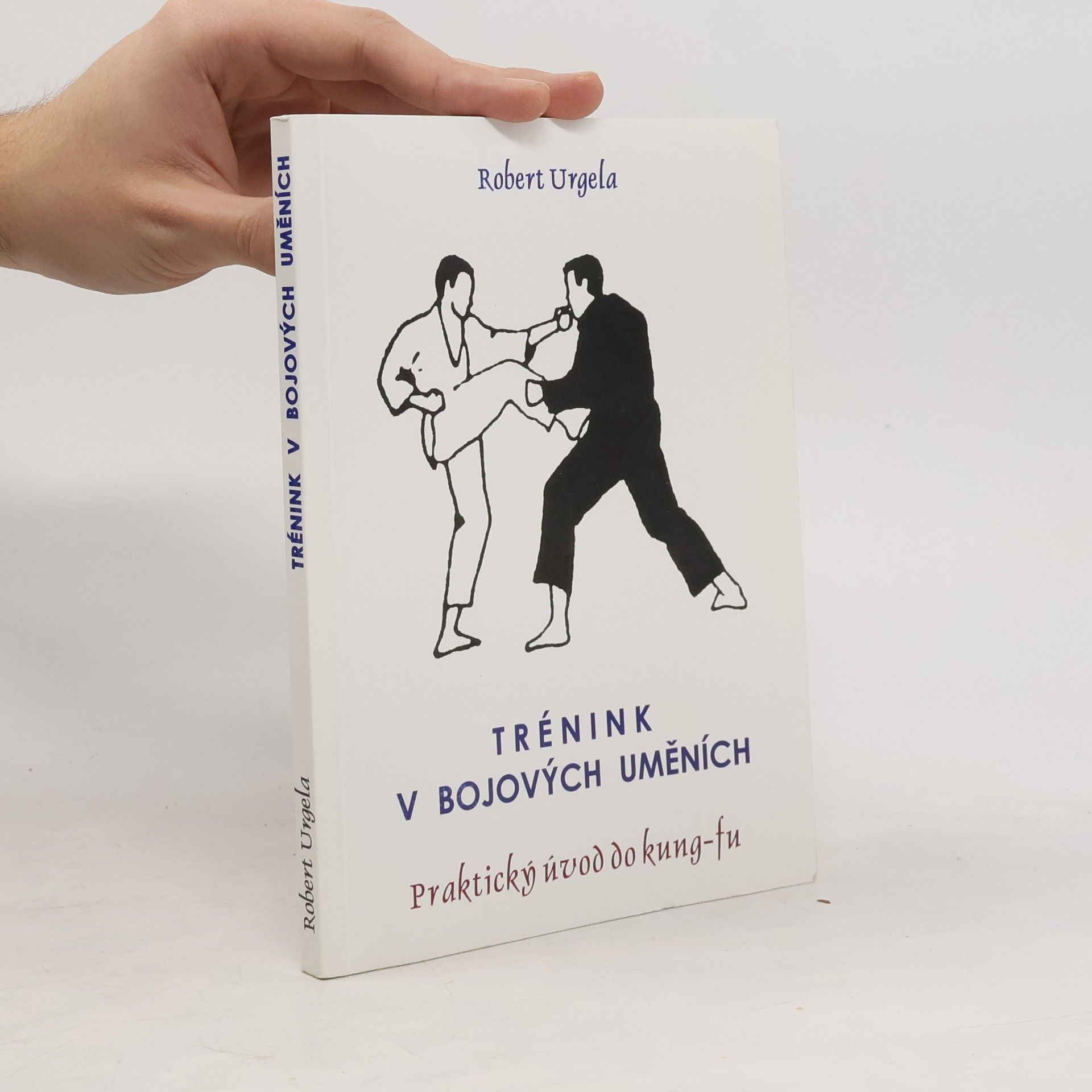 Trénink v bojových uměních: Praktický úvod do kung-fu