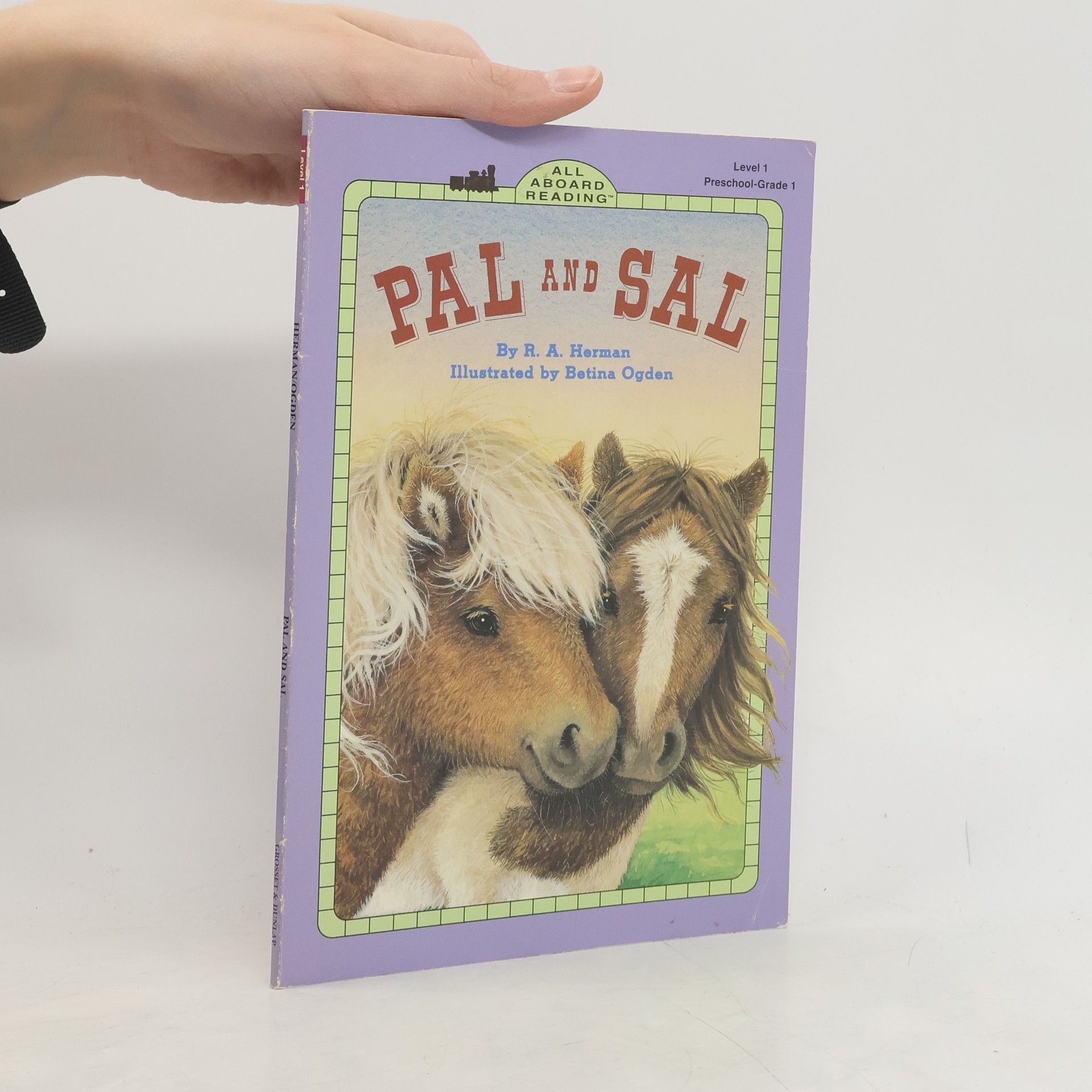 Ronnie Ann Herman All Aboard Reading - 1: Pal and Sal