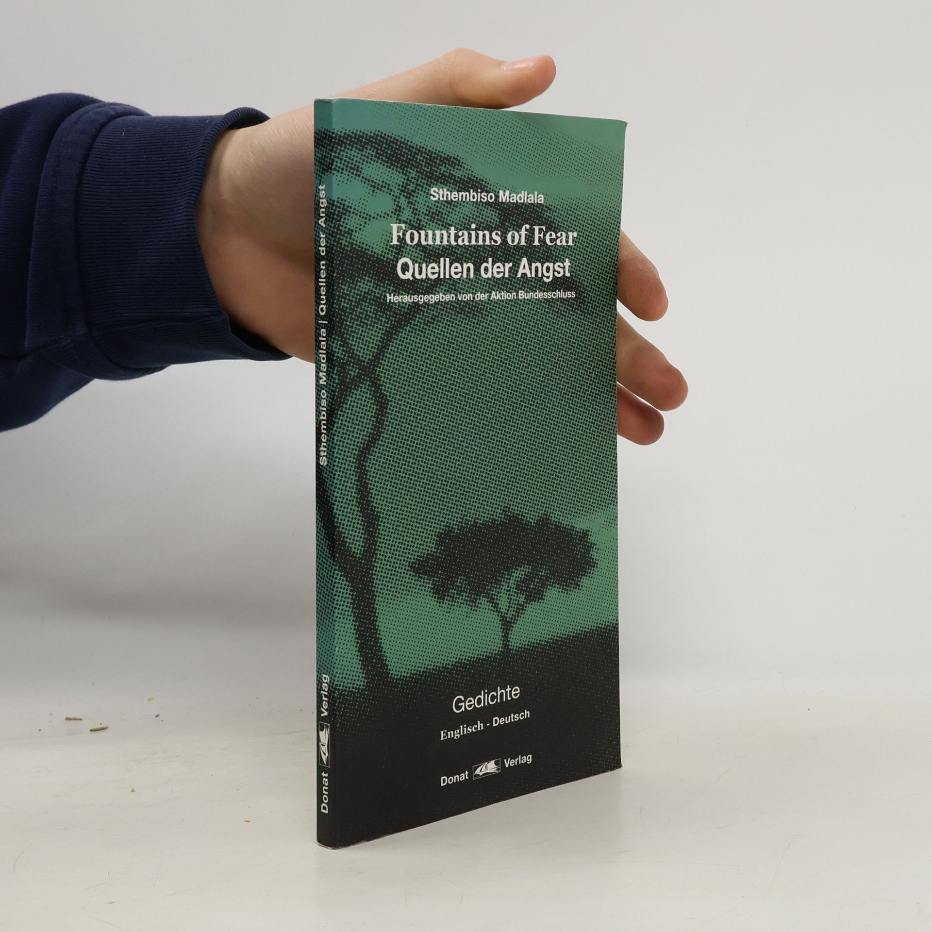 Sthembiso Madlala Fountains of fear