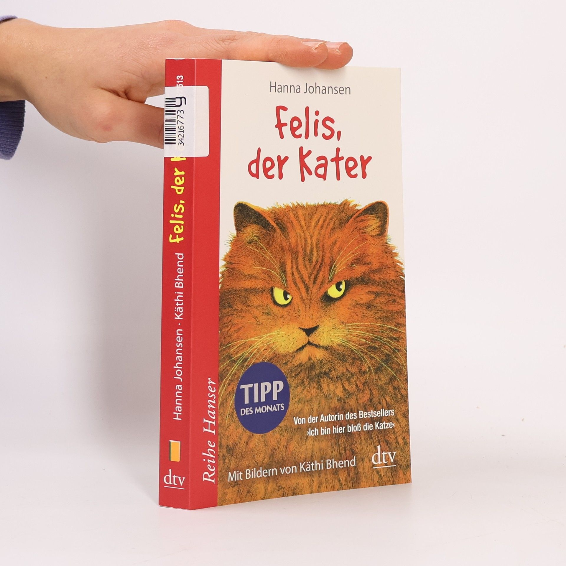 Felis, der Kater