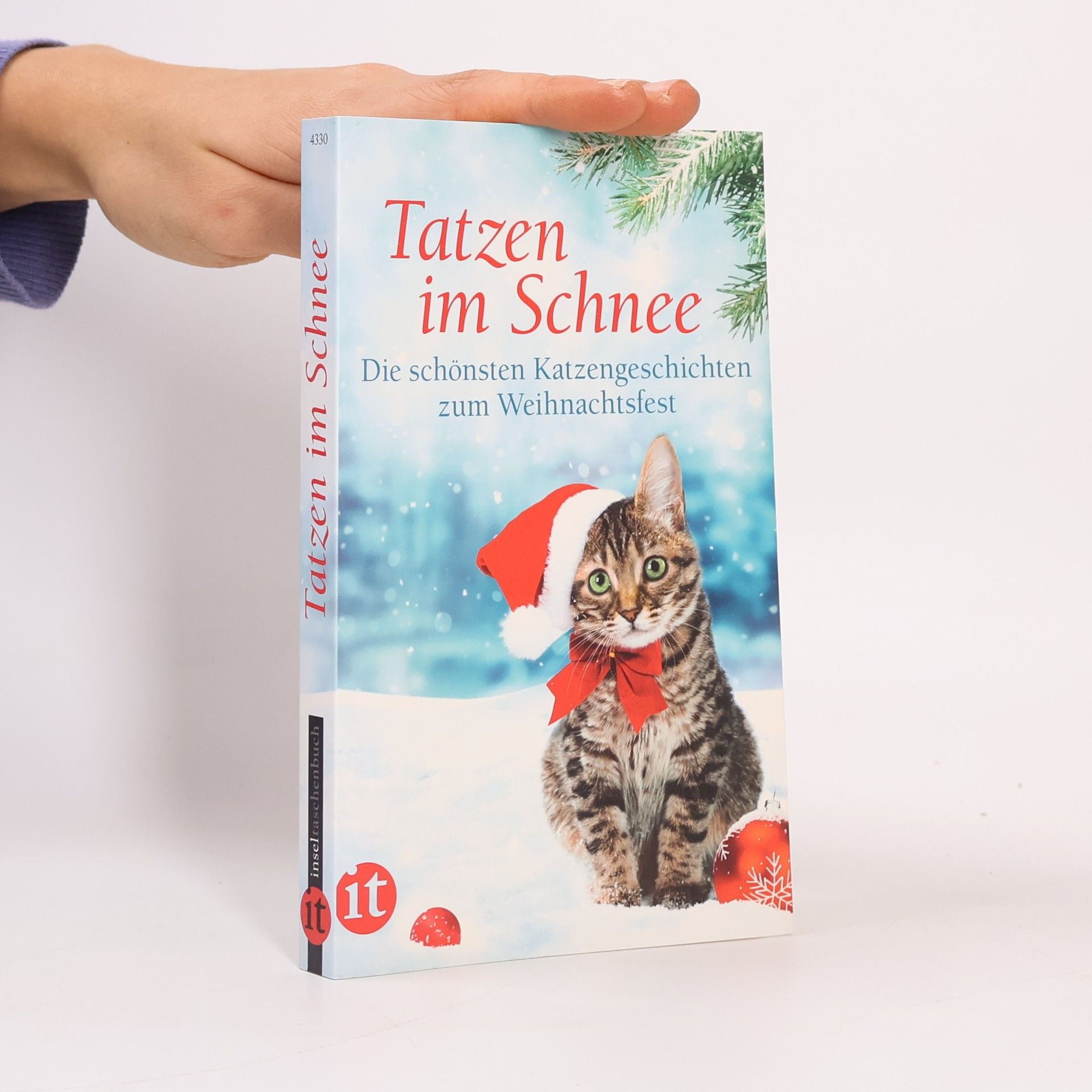 Gesine Dammel Tatzen im Schnee