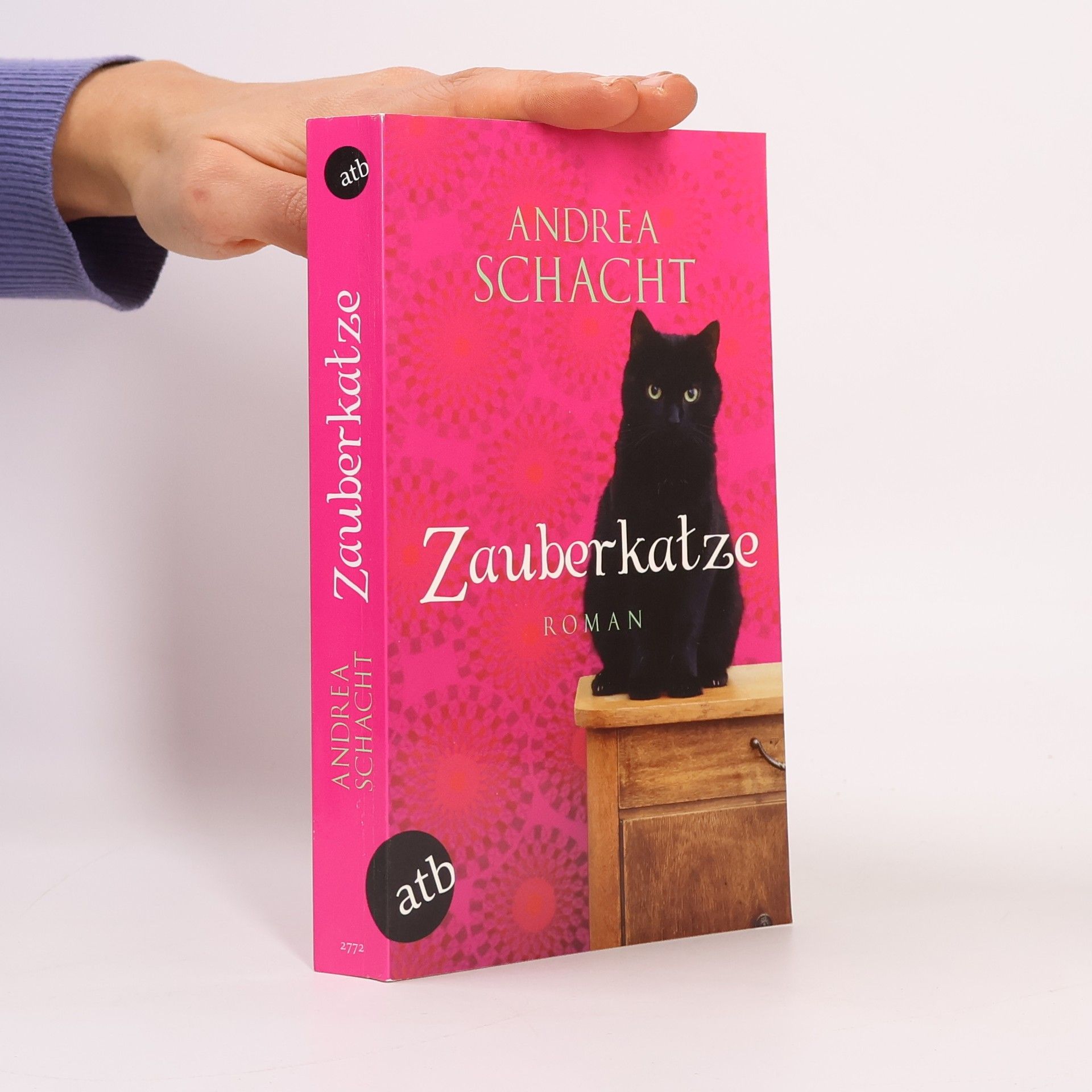 Andrea Schacht Zauberkatze
