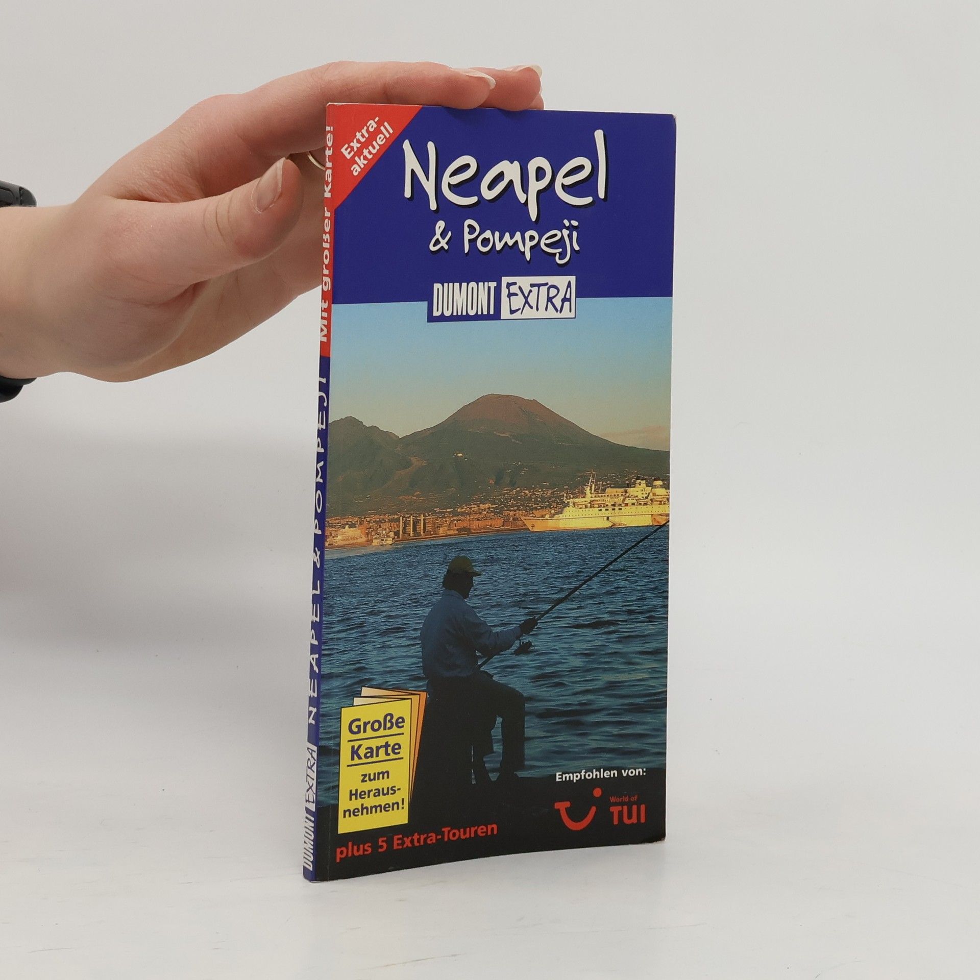 Frank Helbert Neapel & Pompeji