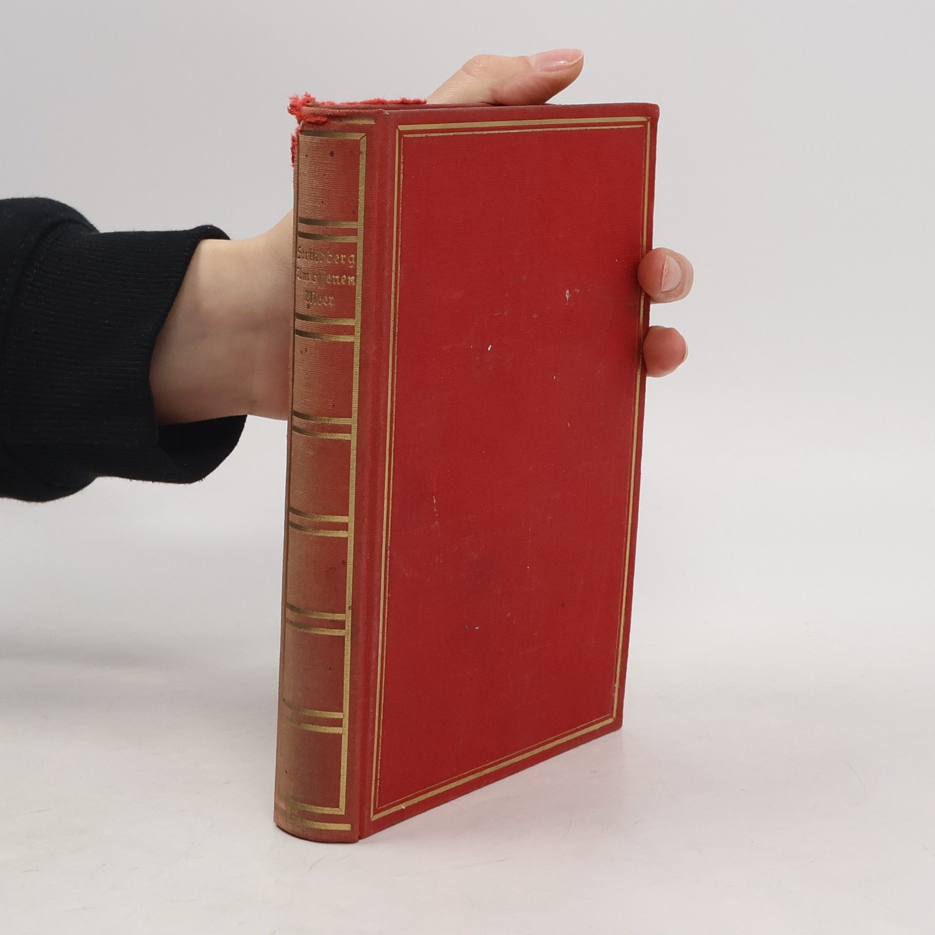 August Strindberg Am offenen Meer