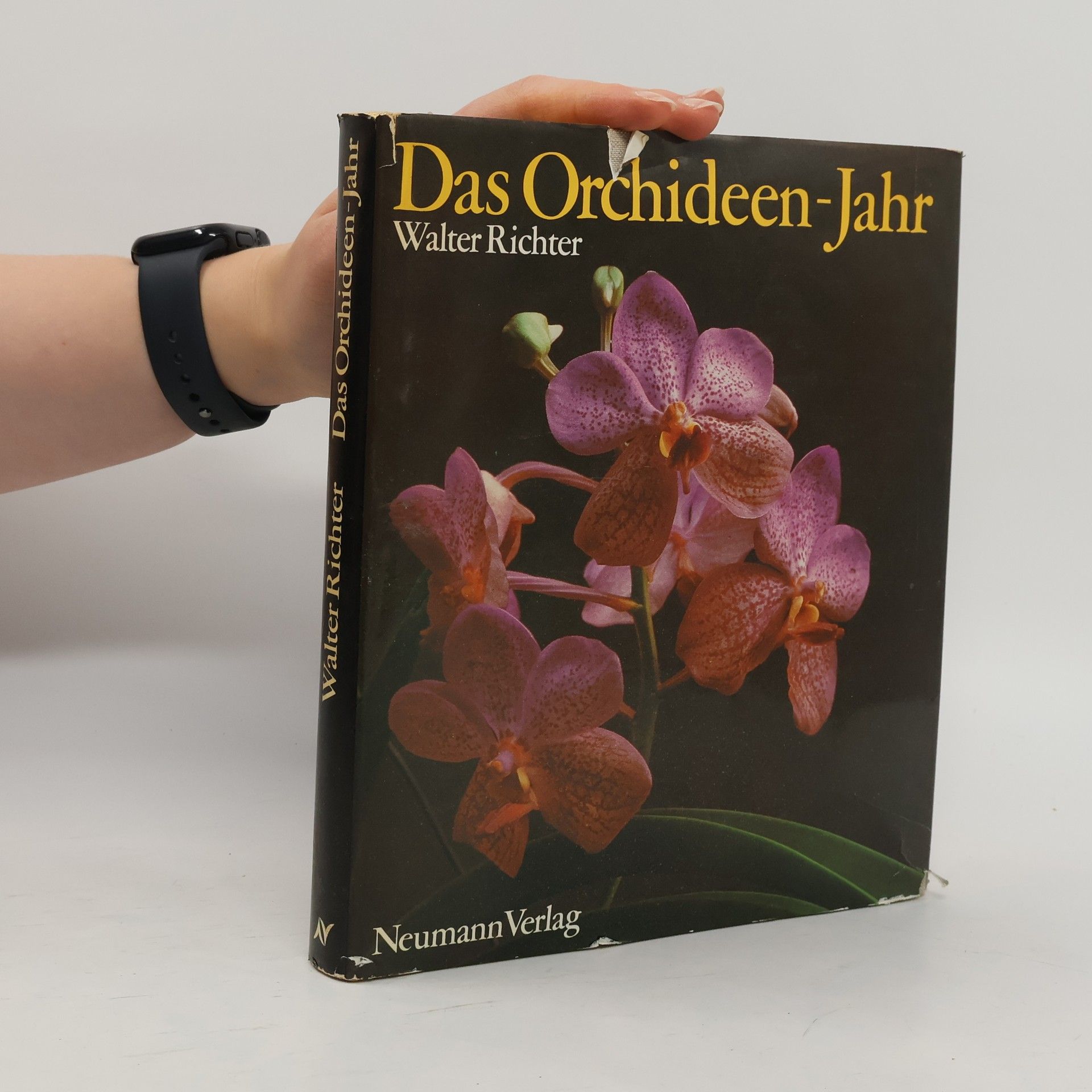 Walter Richter Das Orchideen-Jahr