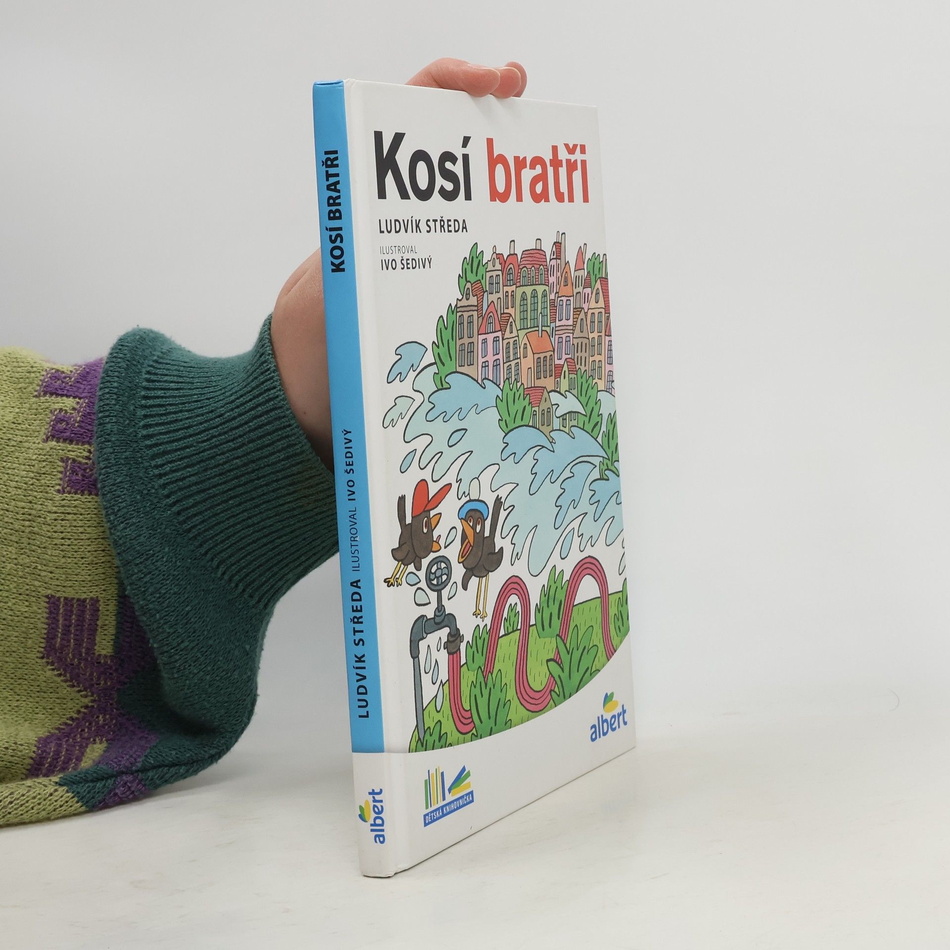 Ludvík Středa Kosí bratři