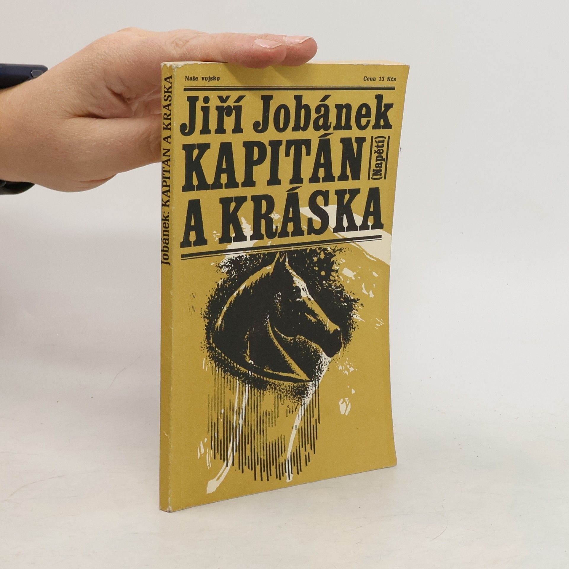 Jiří Jobánek Kapitán a kráska
