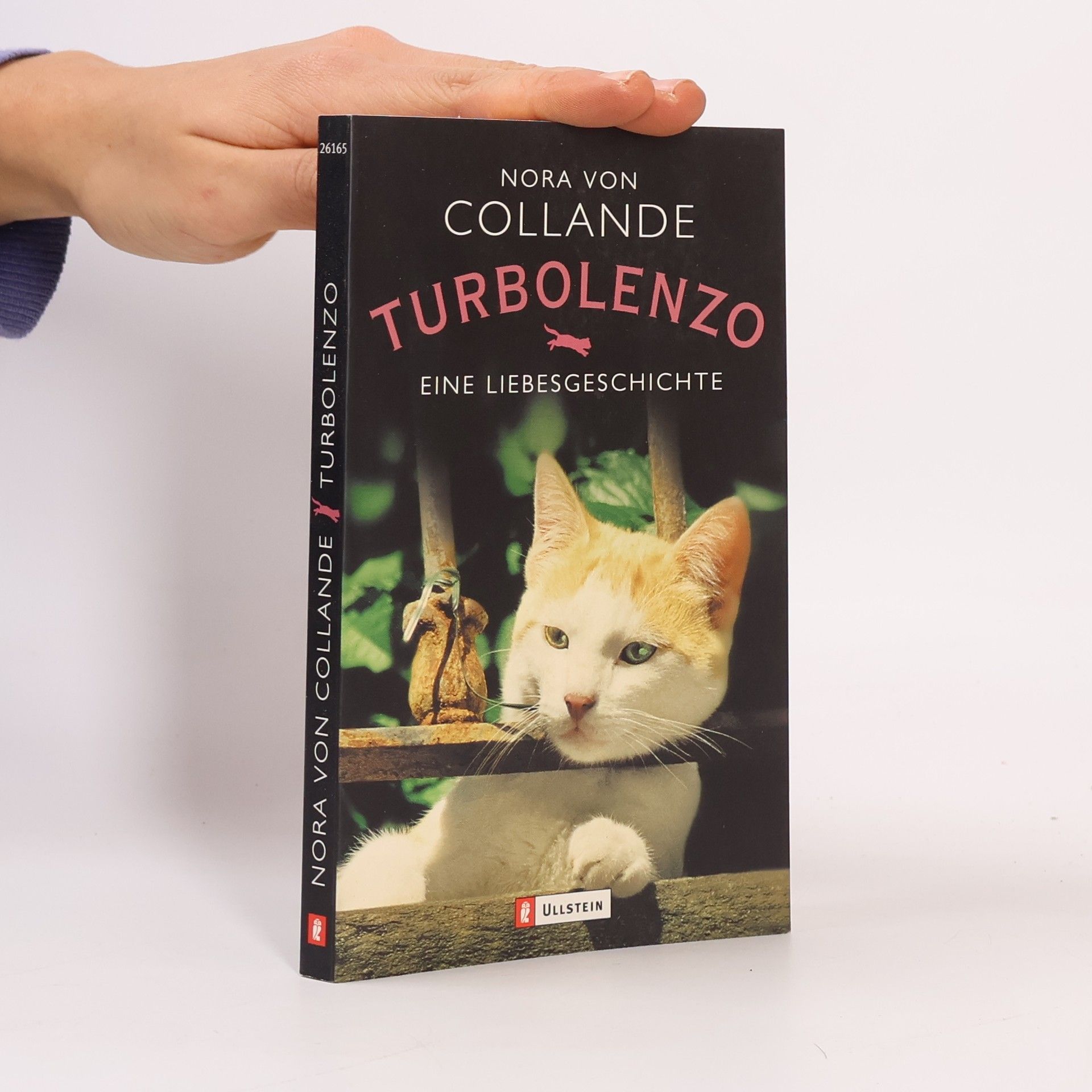 Nora von Collande Turbolenzo