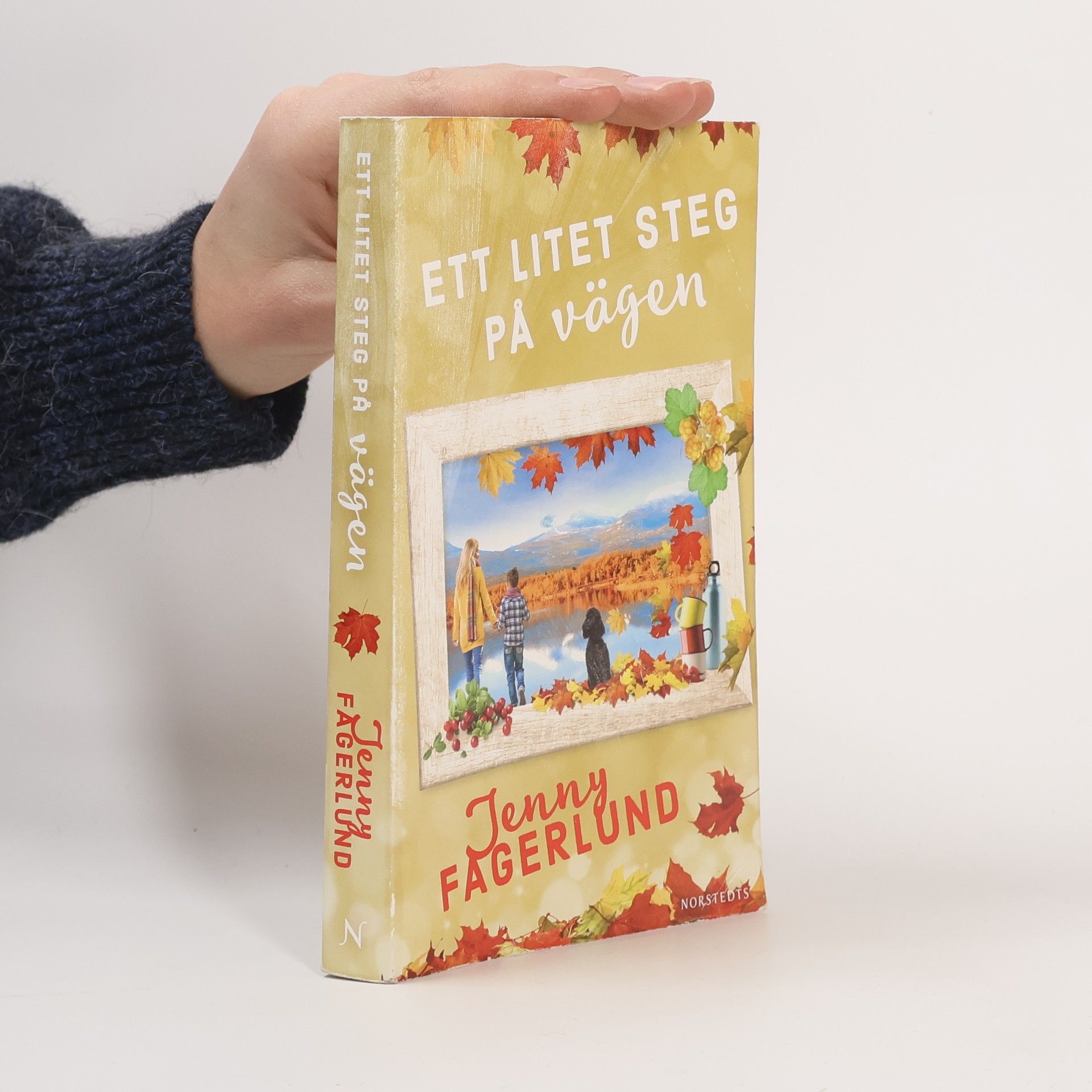 Jenny Fagerlund Ett litet steg på vägen