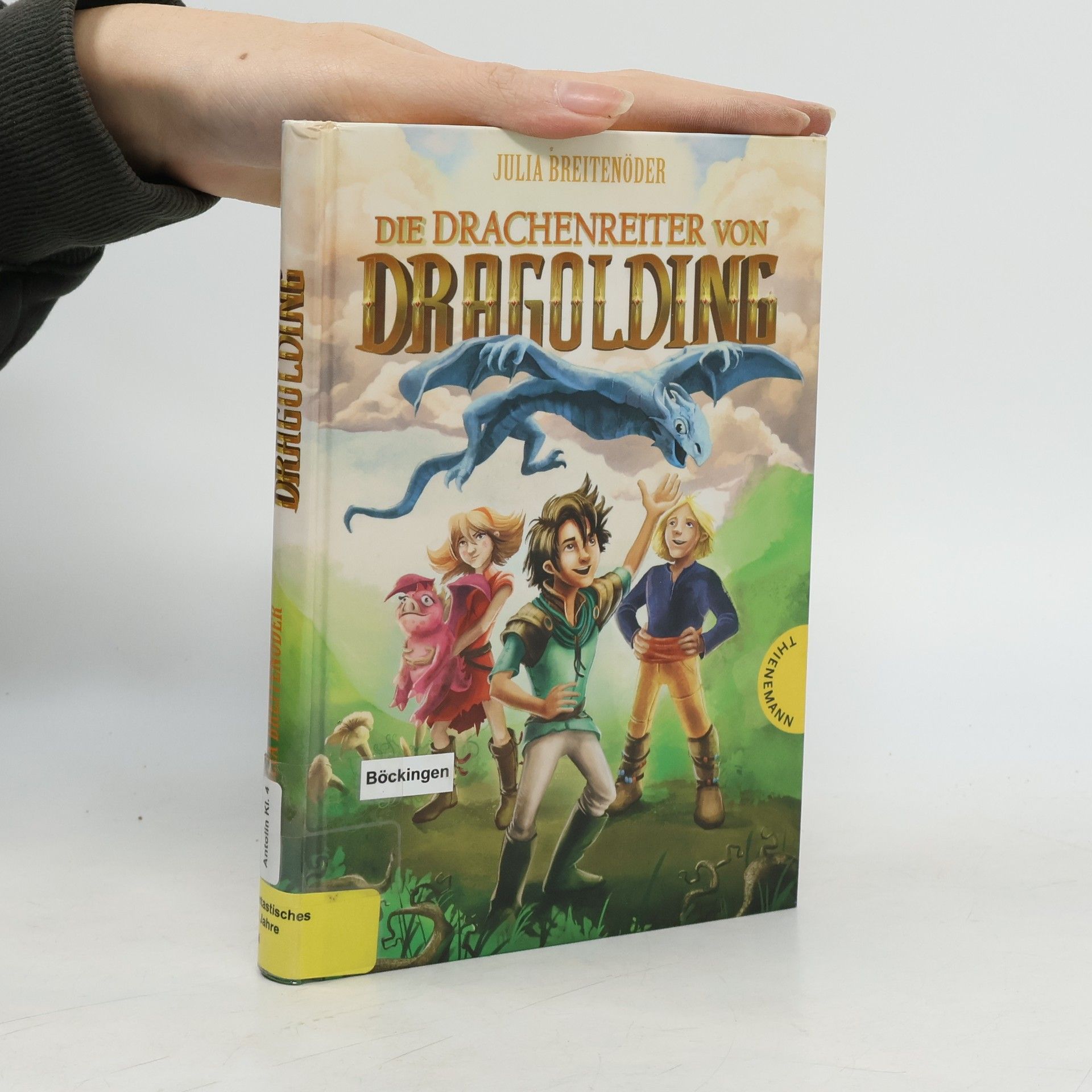Julia Breitenöder Die Drachenreiter von Dragolding