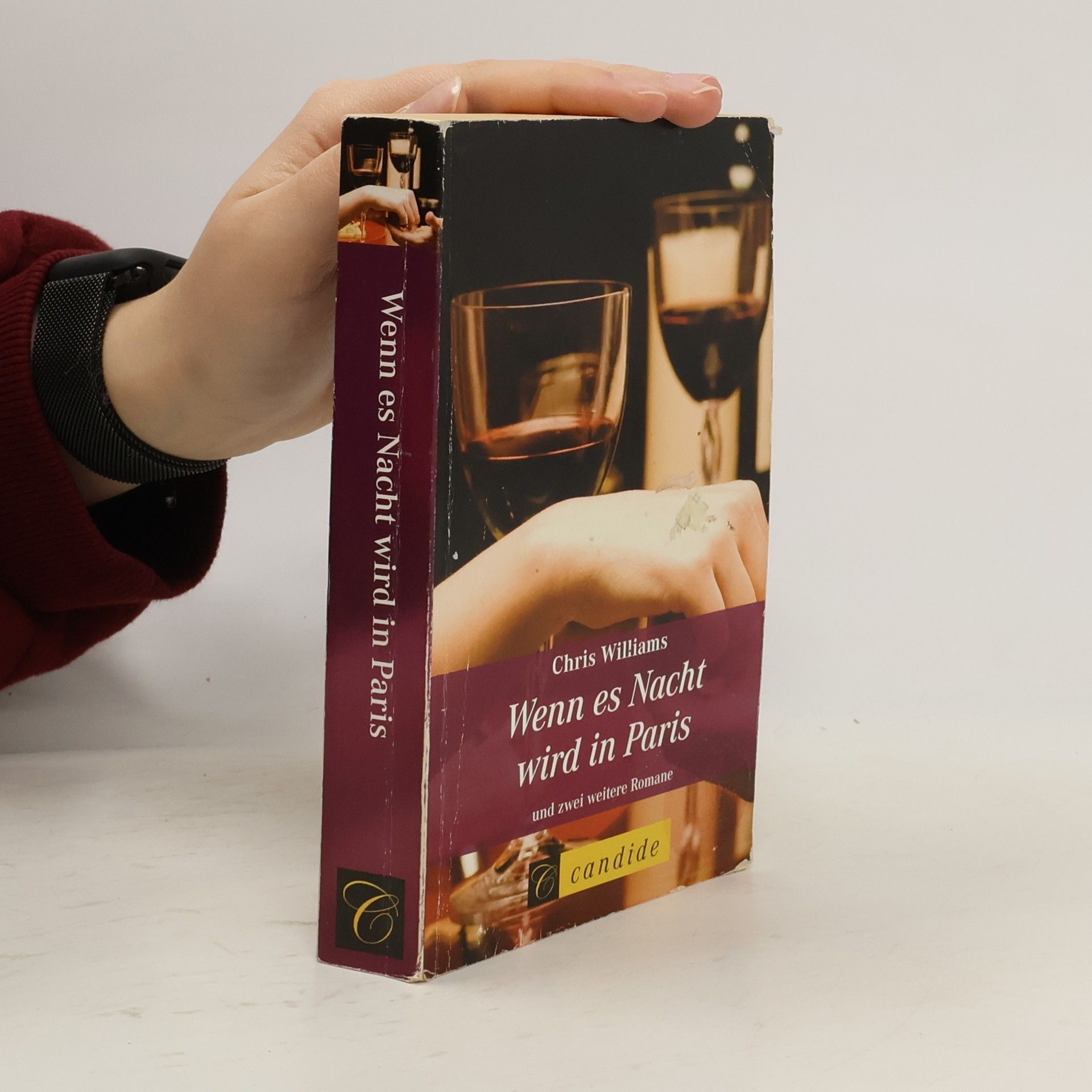 Wenn es Nacht wird in Paris