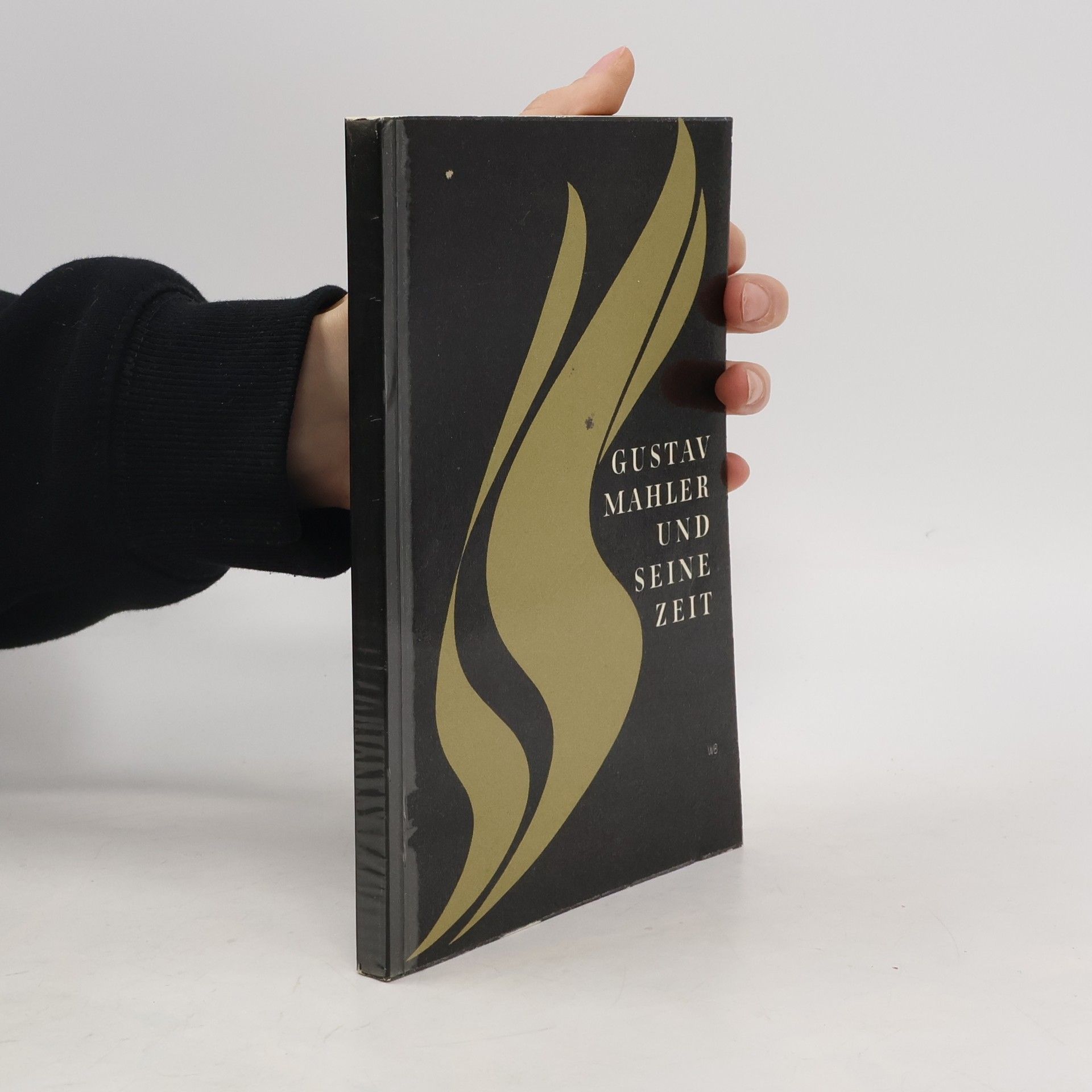 Gustav Mahler und seine Zeit