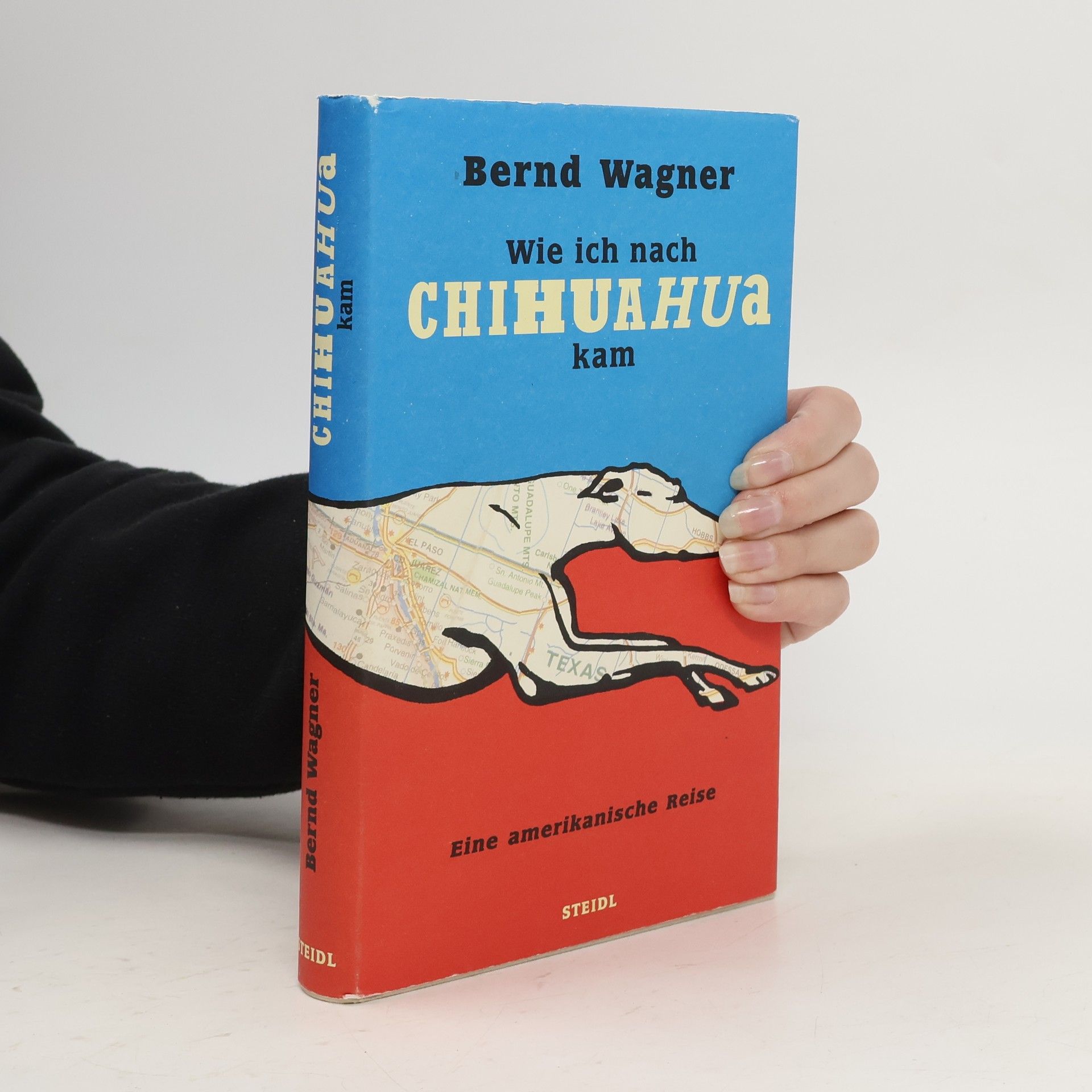 Bernd Wagner Wie ich nach Chihuahua kam