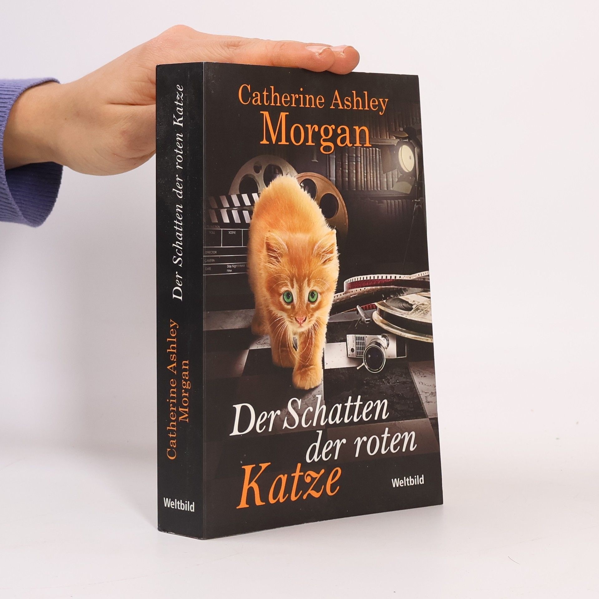 Der Schatten der roten Katze