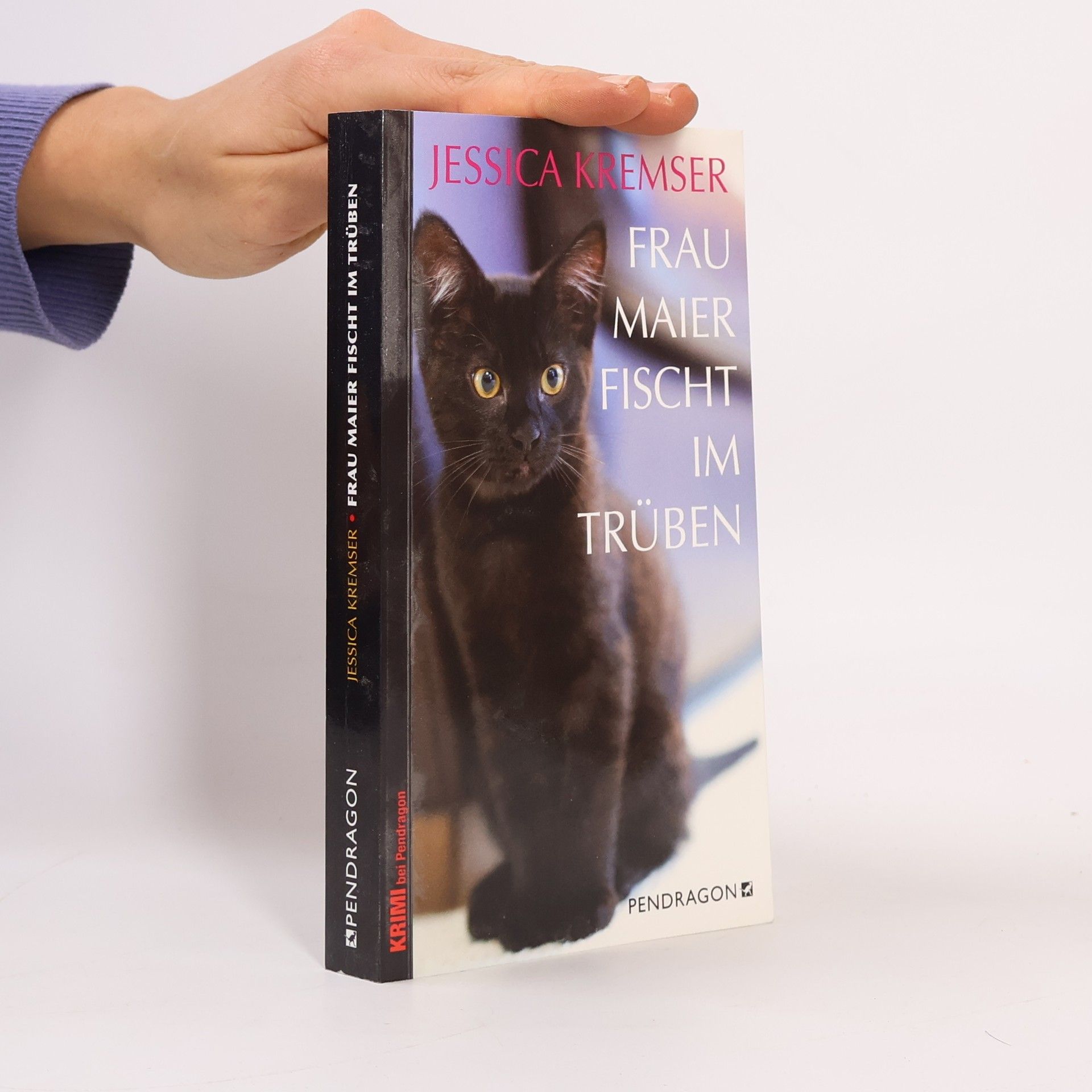 Jessica Kremser Frau Maier fischt im Trüben