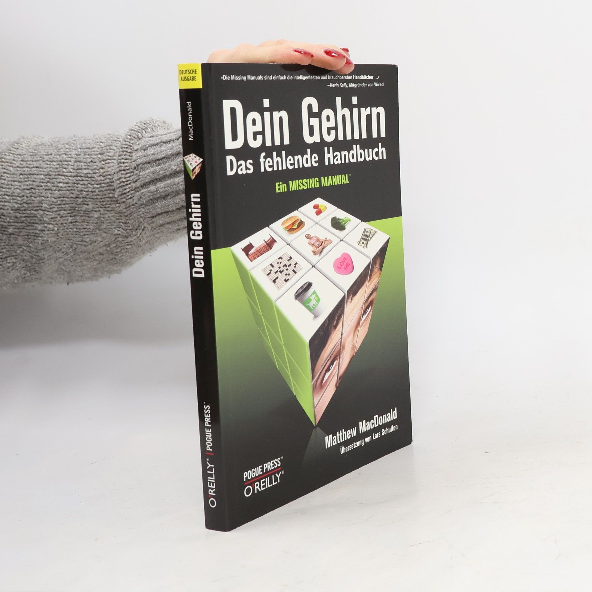 Dein Gehirn