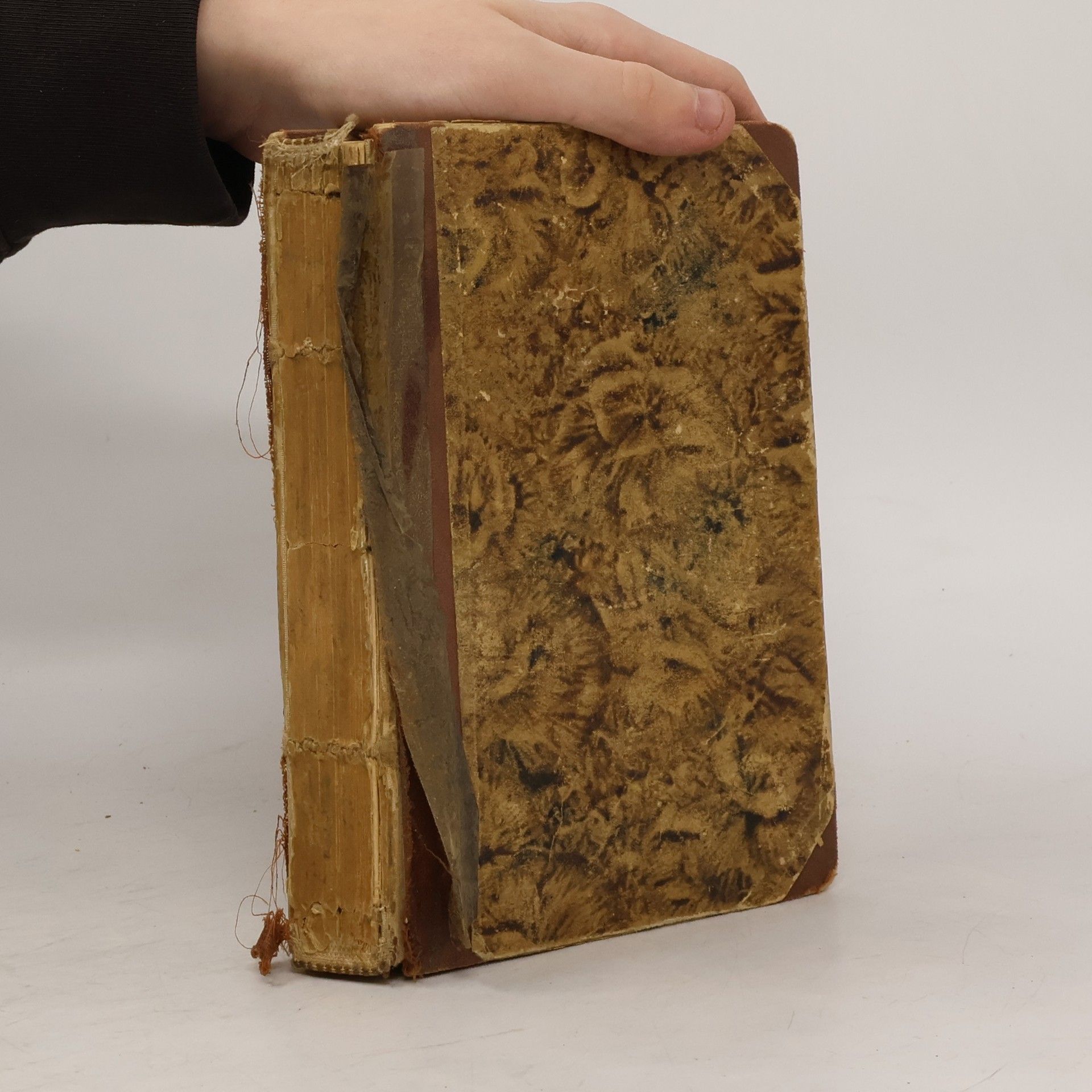 Charles Alden Seltzer Randovo vítězství