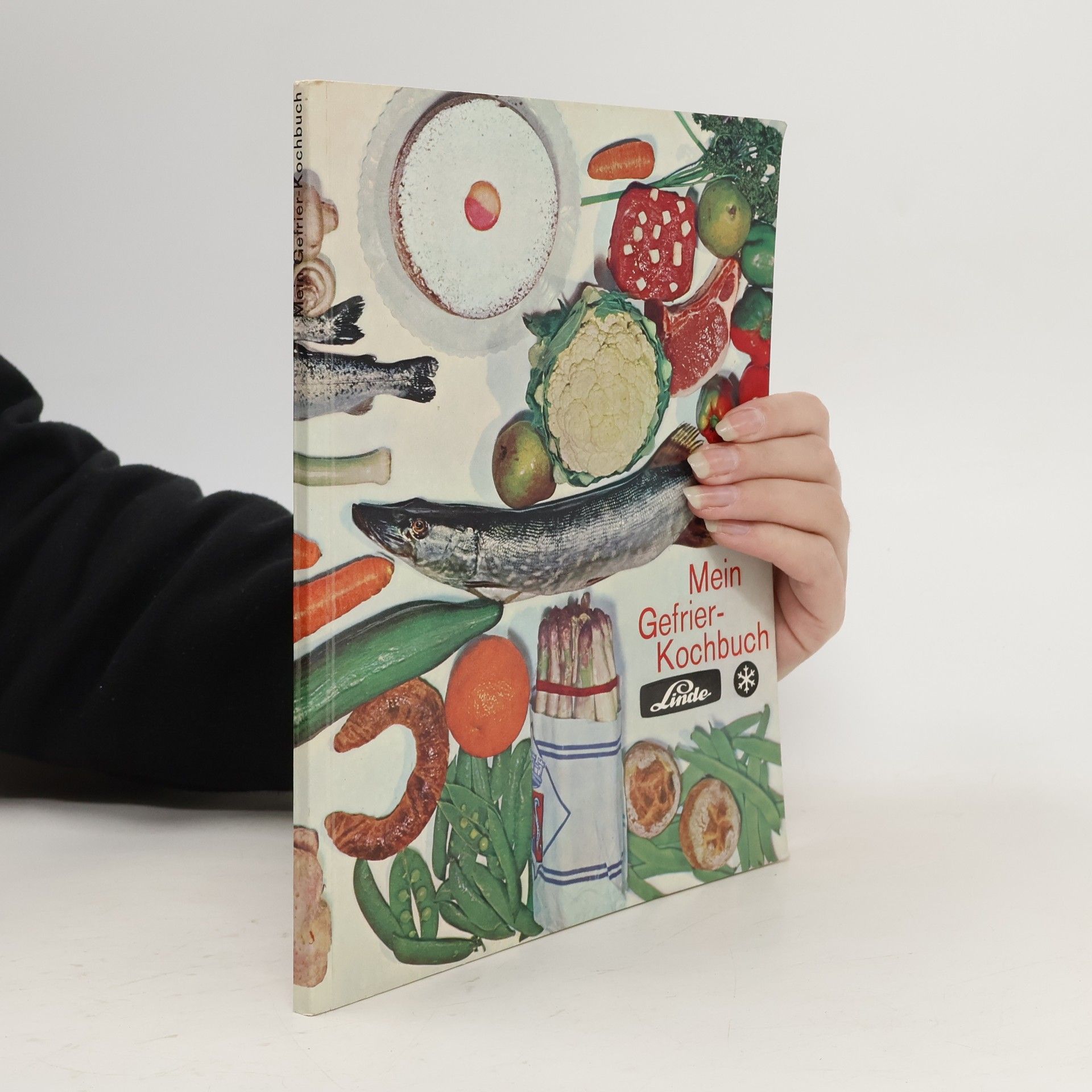 Autores varios Mein Gefrier Kochbuch