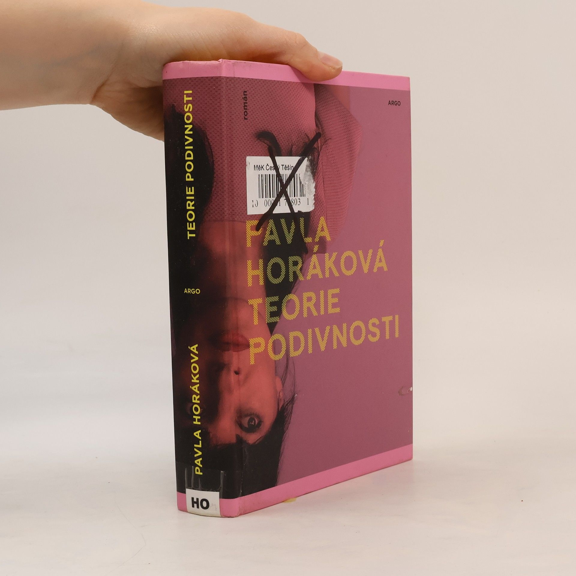 Pavla Horáková Teorie podivnosti