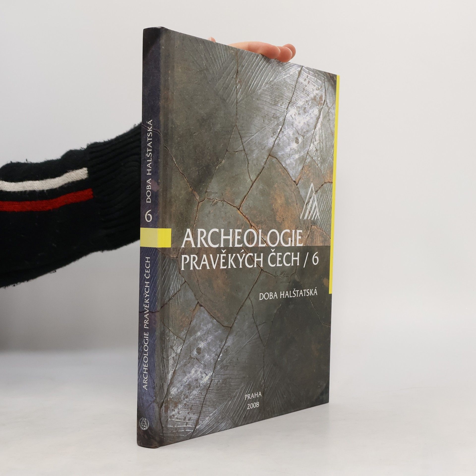 Autorenkollektiv Archeologie pravěkých Čech : Doba halštatská. 6