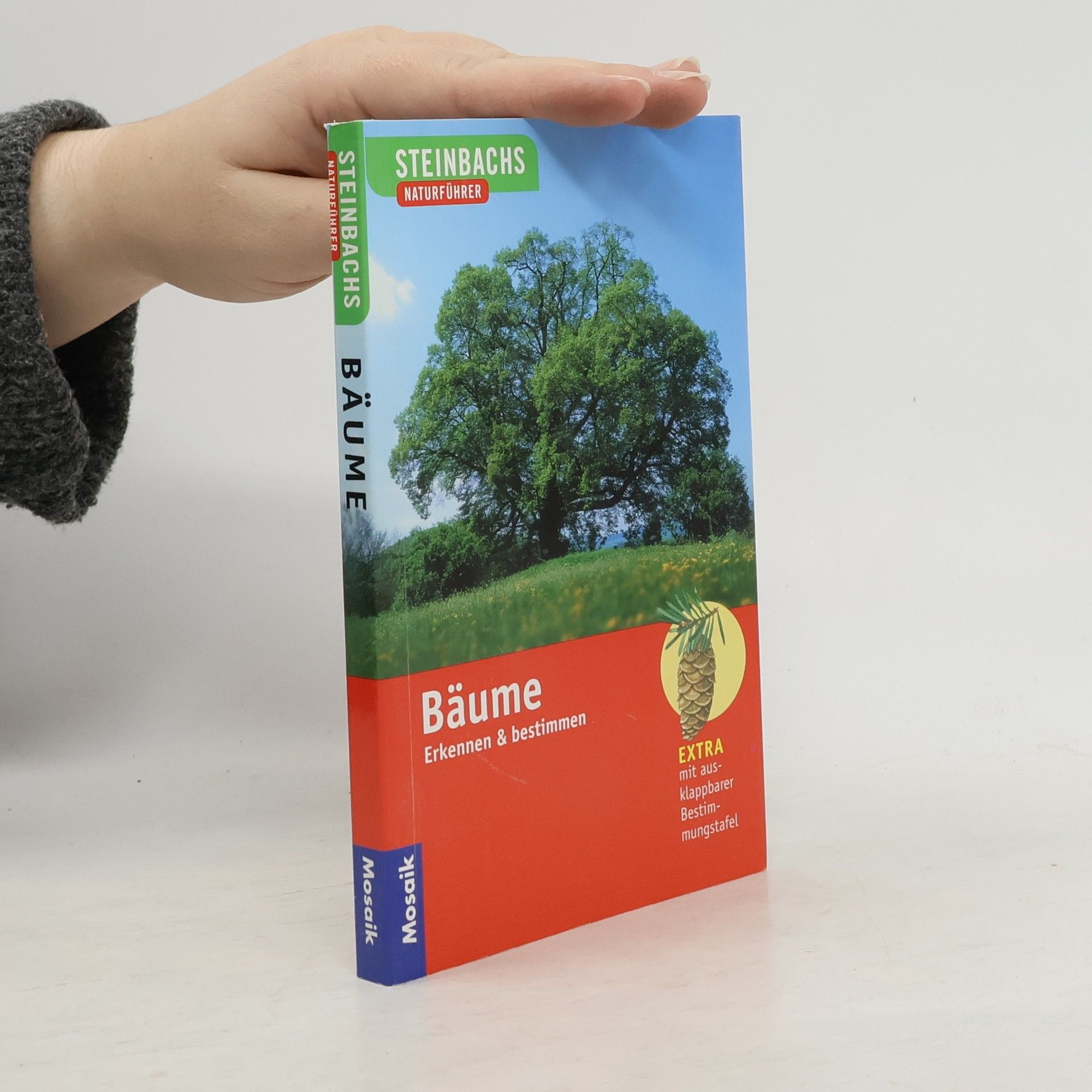 Bruno P. Kremer Bäume