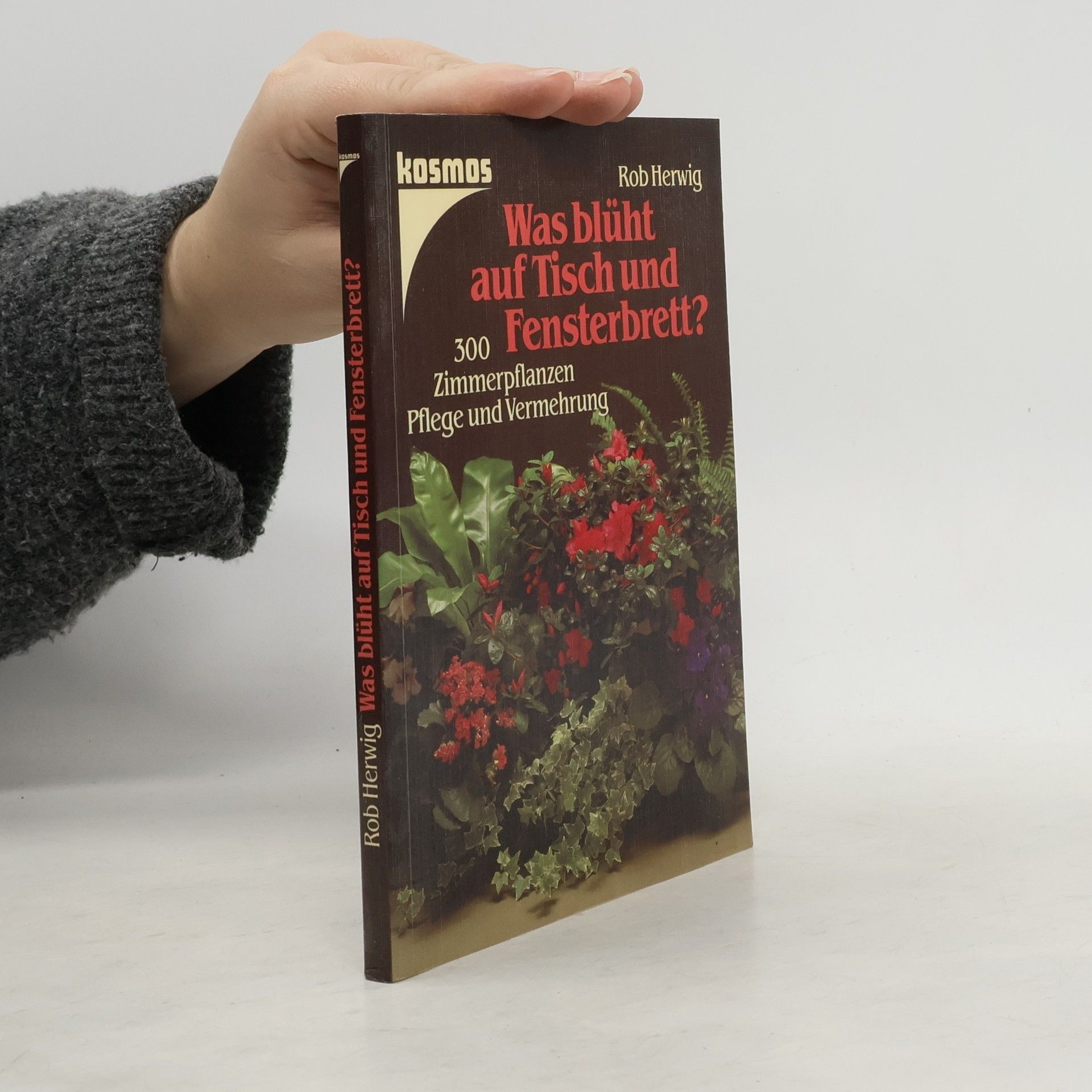 Rob Hewig Was blüht auf Tisch und Fensterbrett?