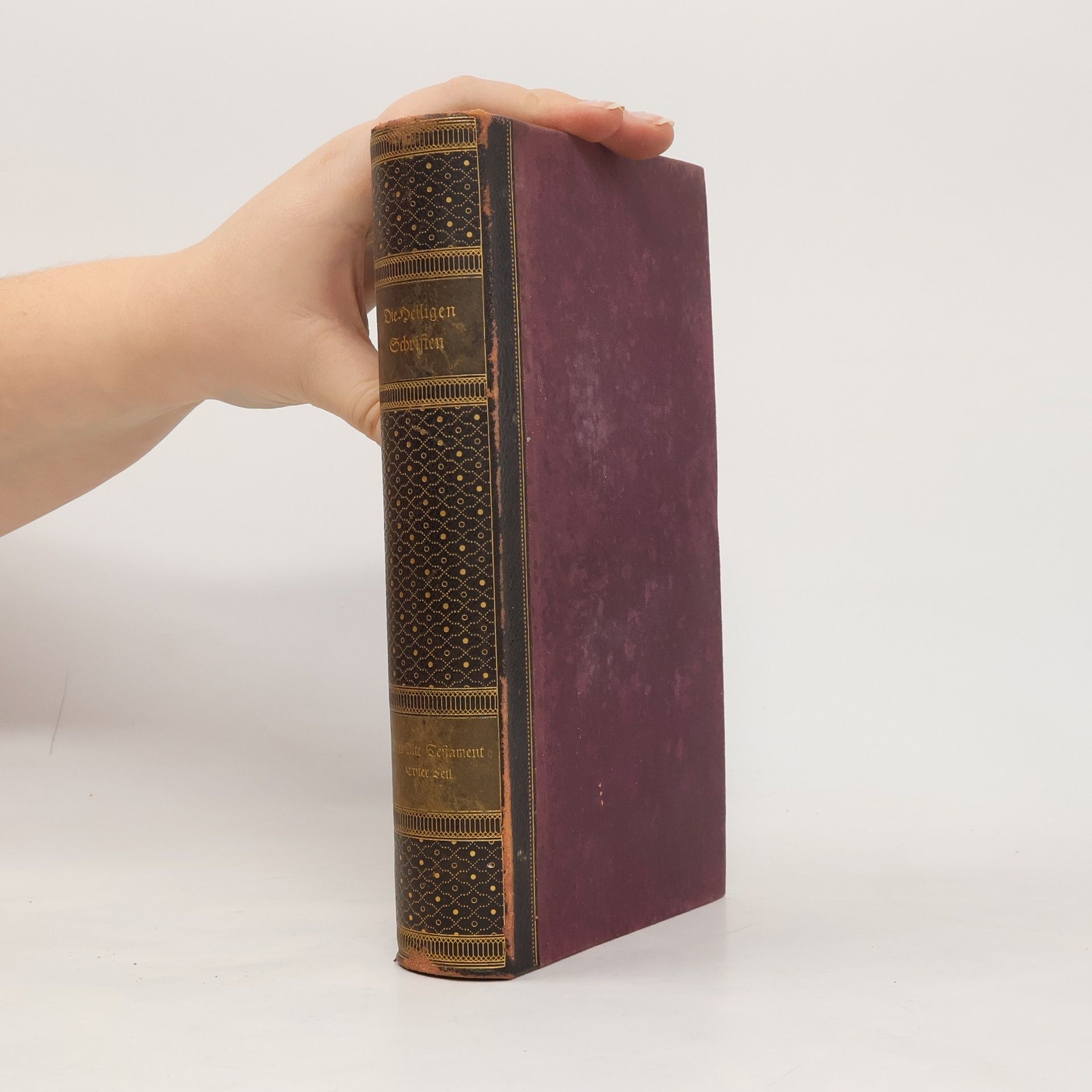 Kolektív autorov Die heiligen Schriften des Alten und Neuen Bundes deutsch von Martin Luther