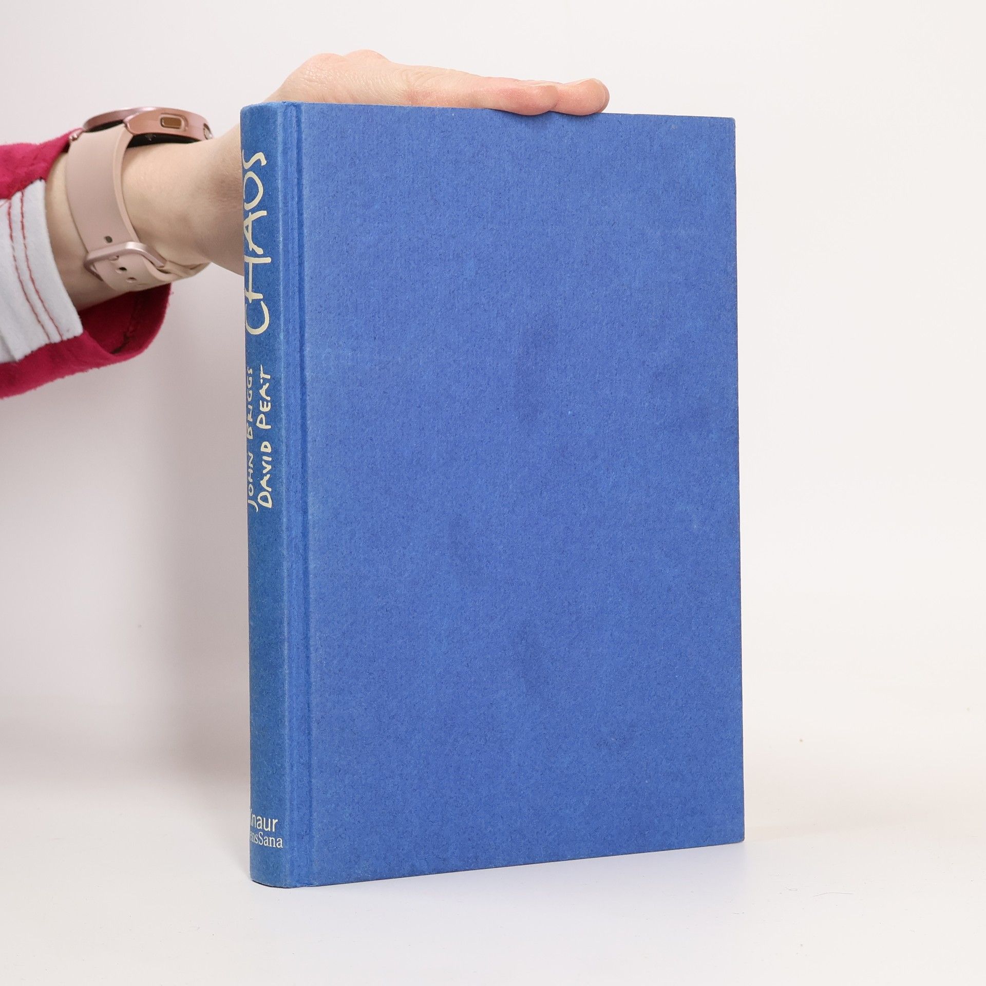 John Briggs Chaos - Abschied von der Sehnsucht, alles in den Griff zu bekommen